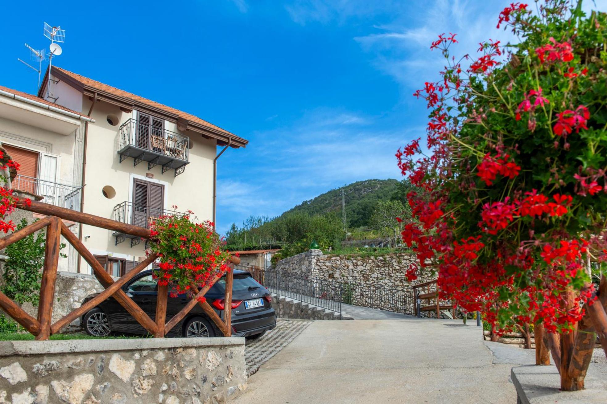 Il Vigneto di Nonno Pietro