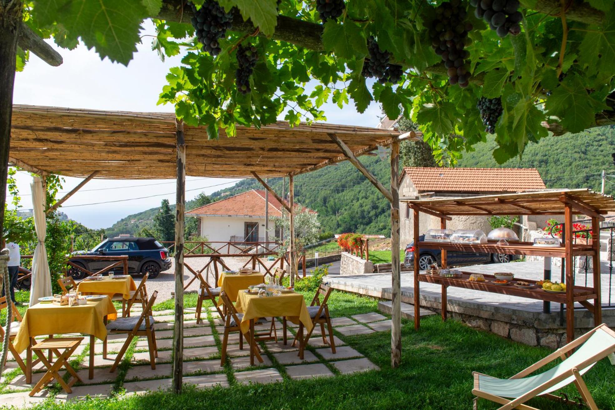 Il Vigneto di Nonno Pietro