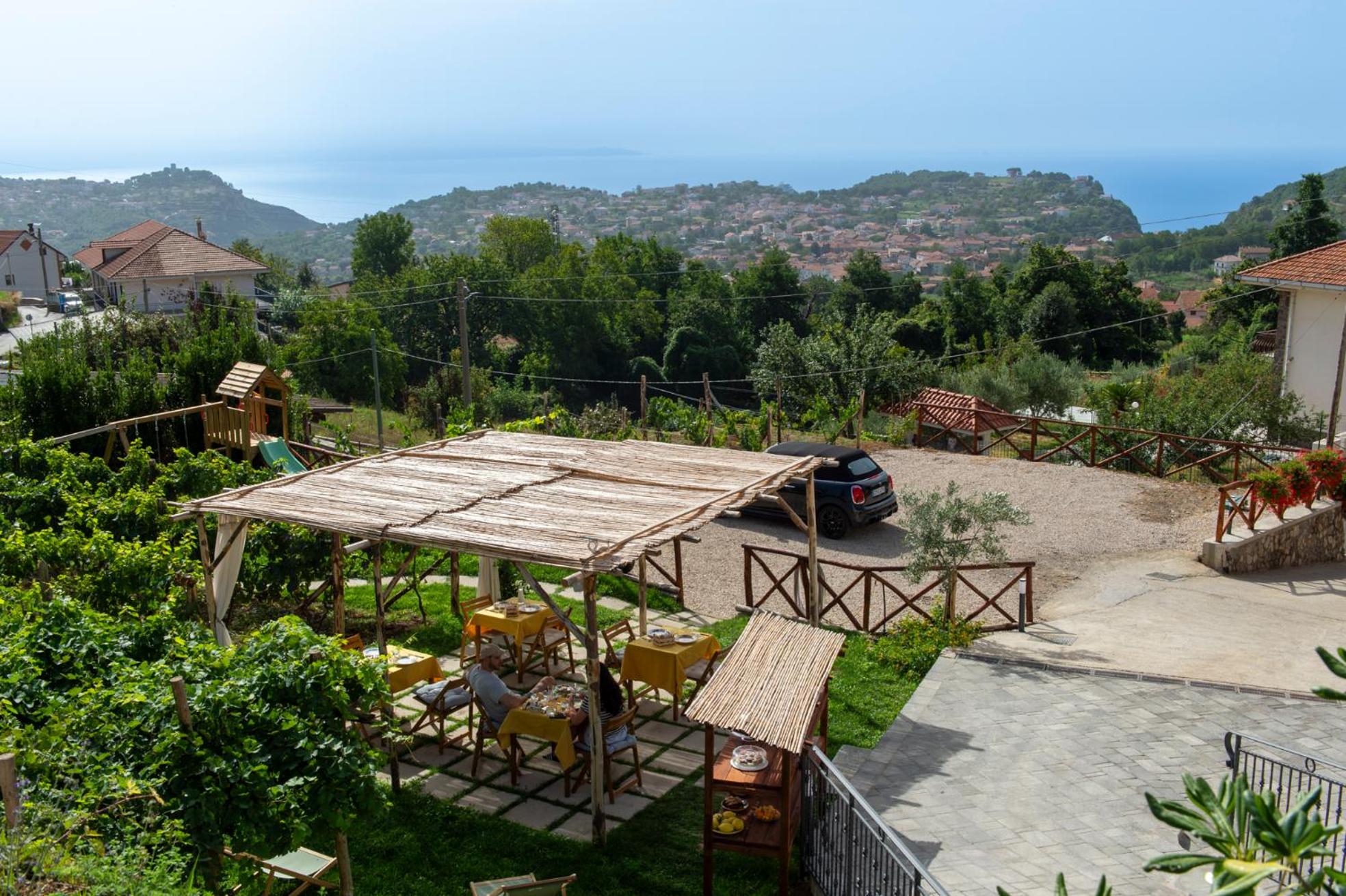 Il Vigneto di Nonno Pietro
