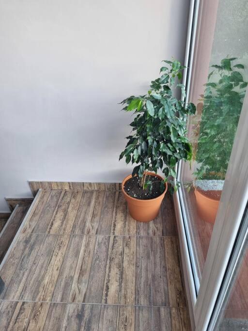 Moderno Duplex 2 - Complejo Las Cerezas