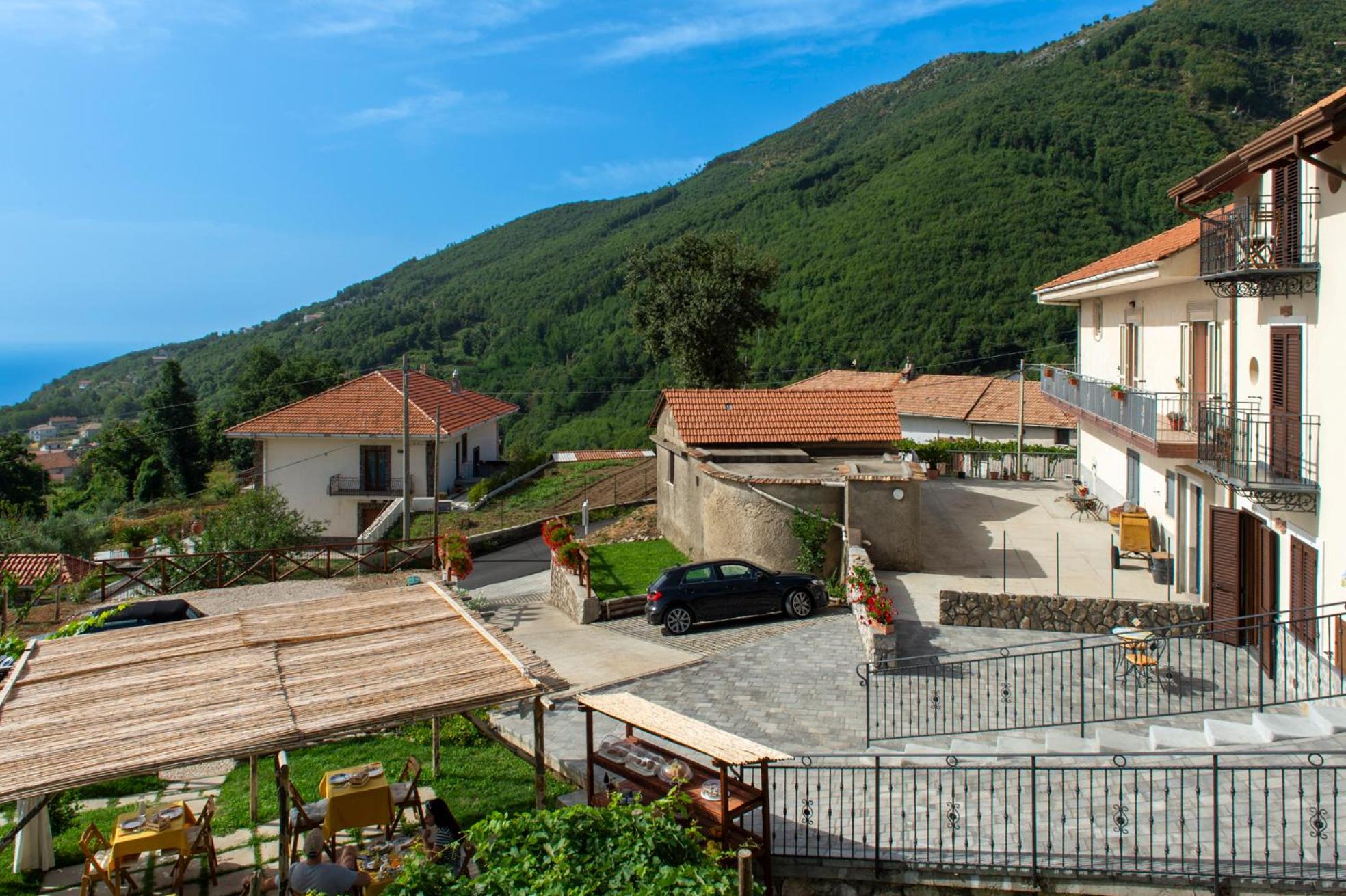 Il Vigneto di Nonno Pietro