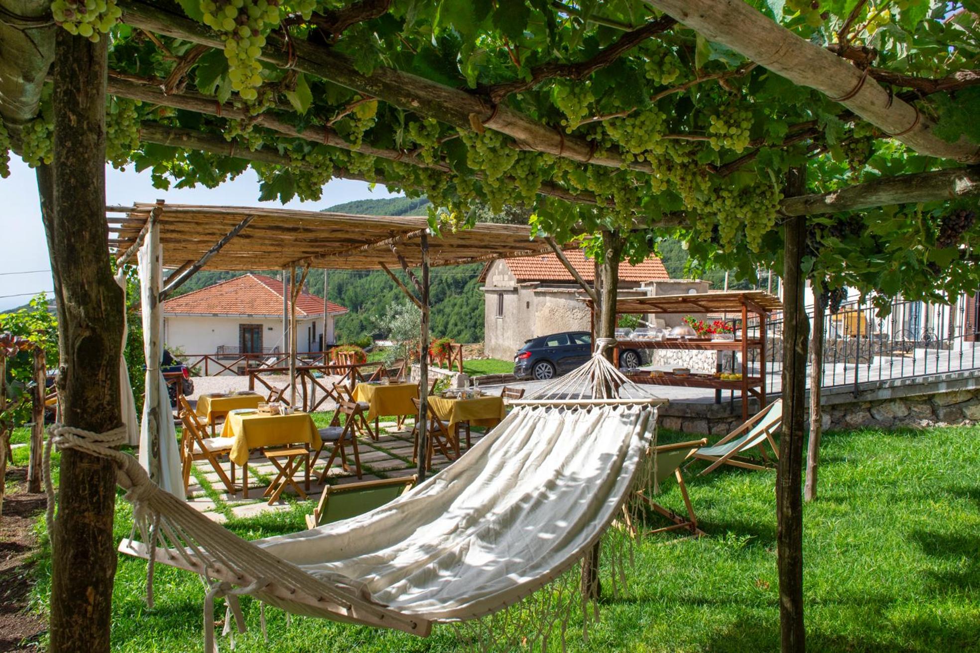 Il Vigneto di Nonno Pietro