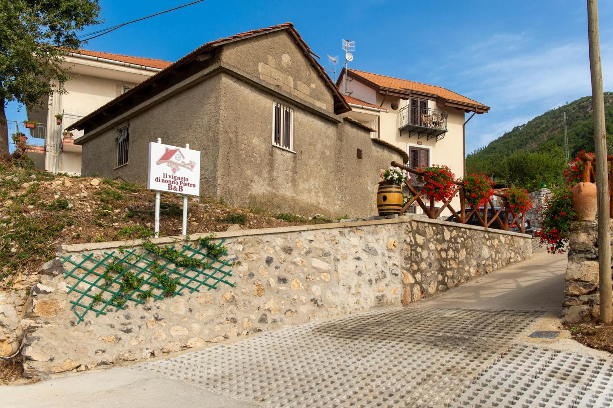 Il Vigneto di Nonno Pietro