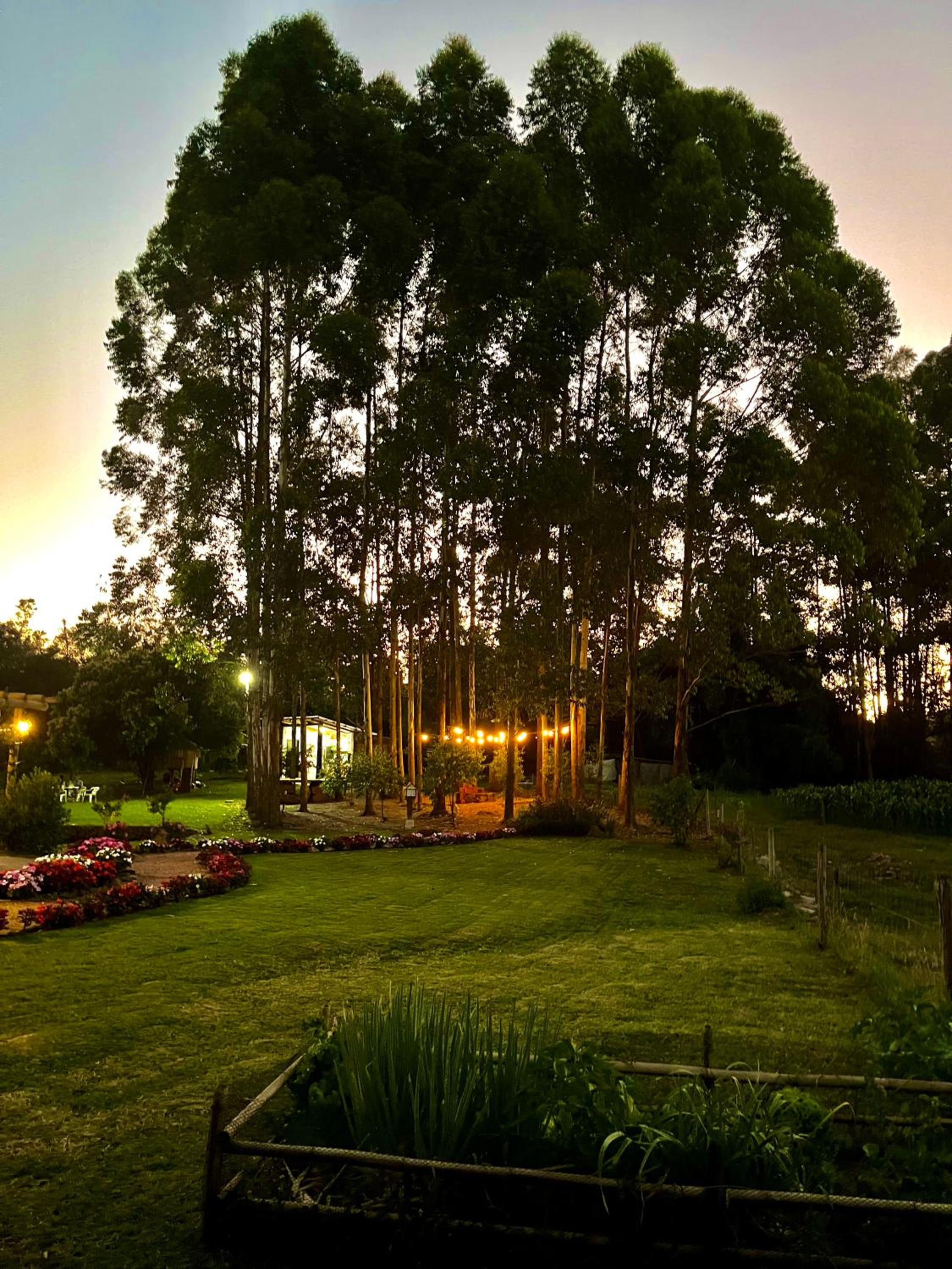Casa Serra Gaúcha Nova Petrópolis 30 min Gramado