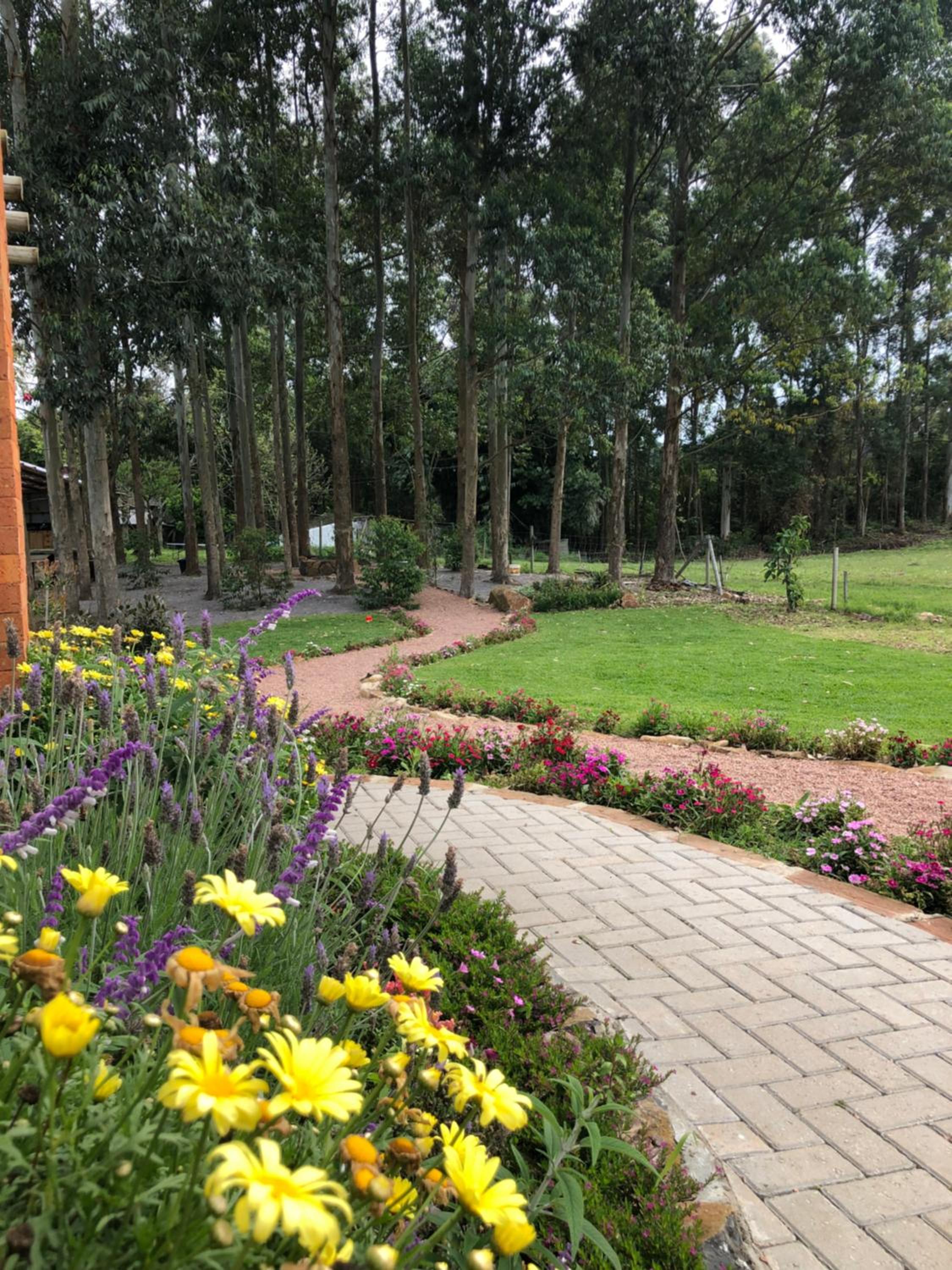 Casa Serra Gaúcha Nova Petrópolis 30 min Gramado