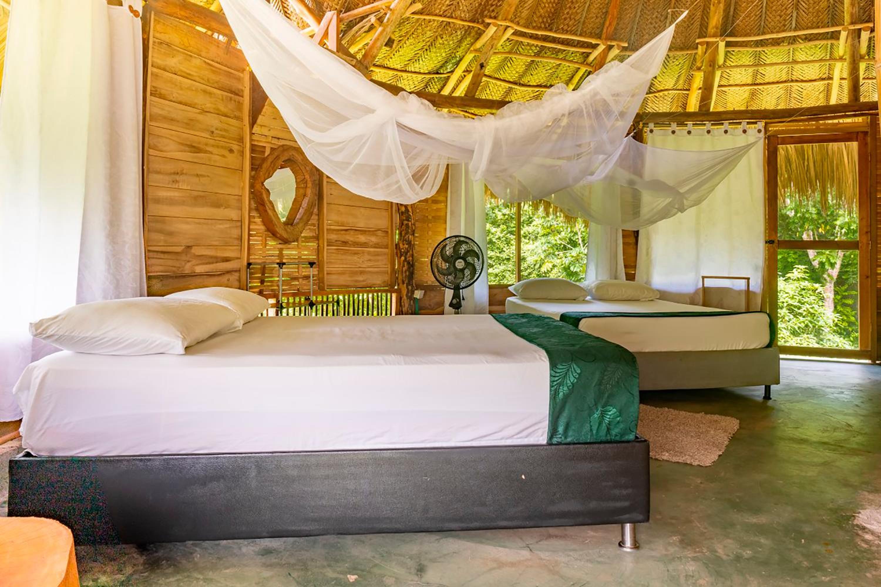 Magic Green Dentro del Parque Tayrona