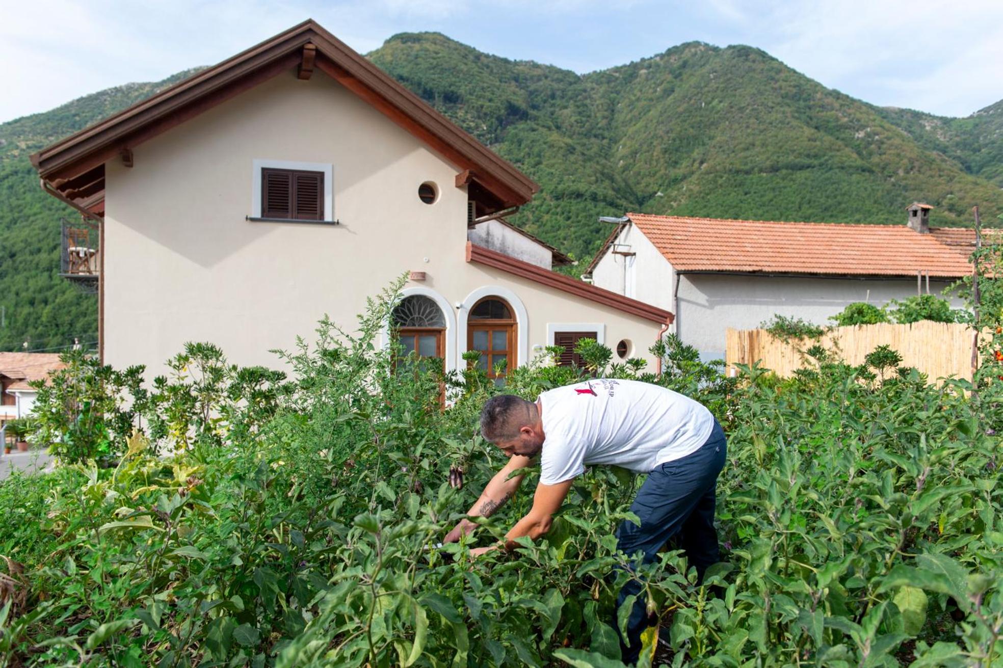 Il Vigneto di Nonno Pietro
