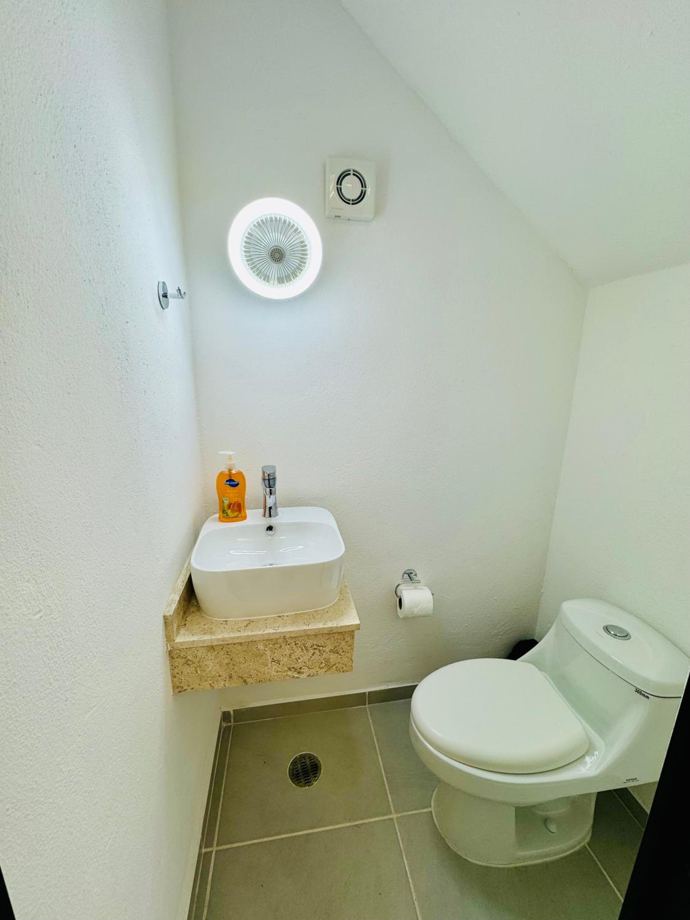 Photo 19