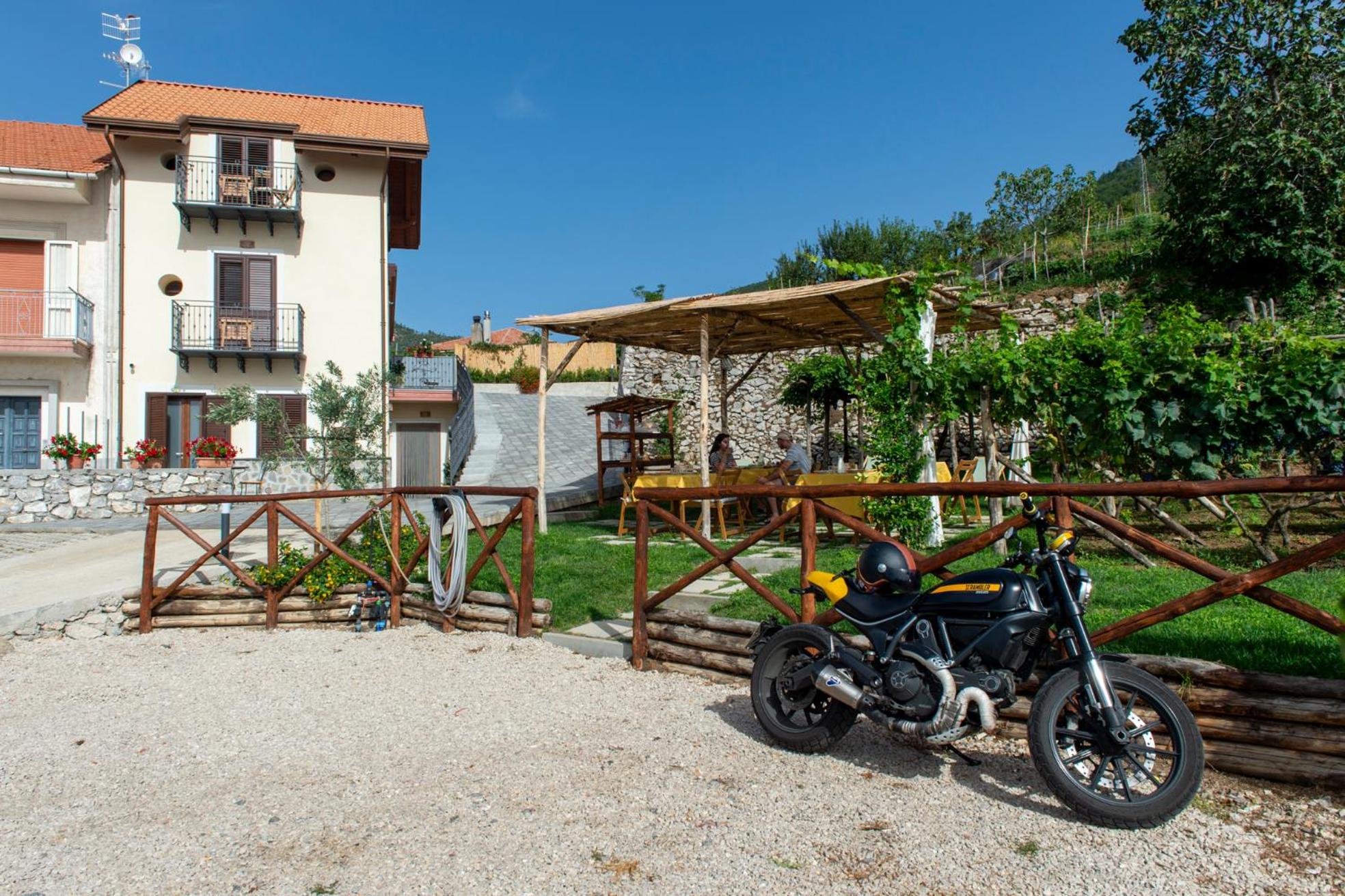 Il Vigneto di Nonno Pietro