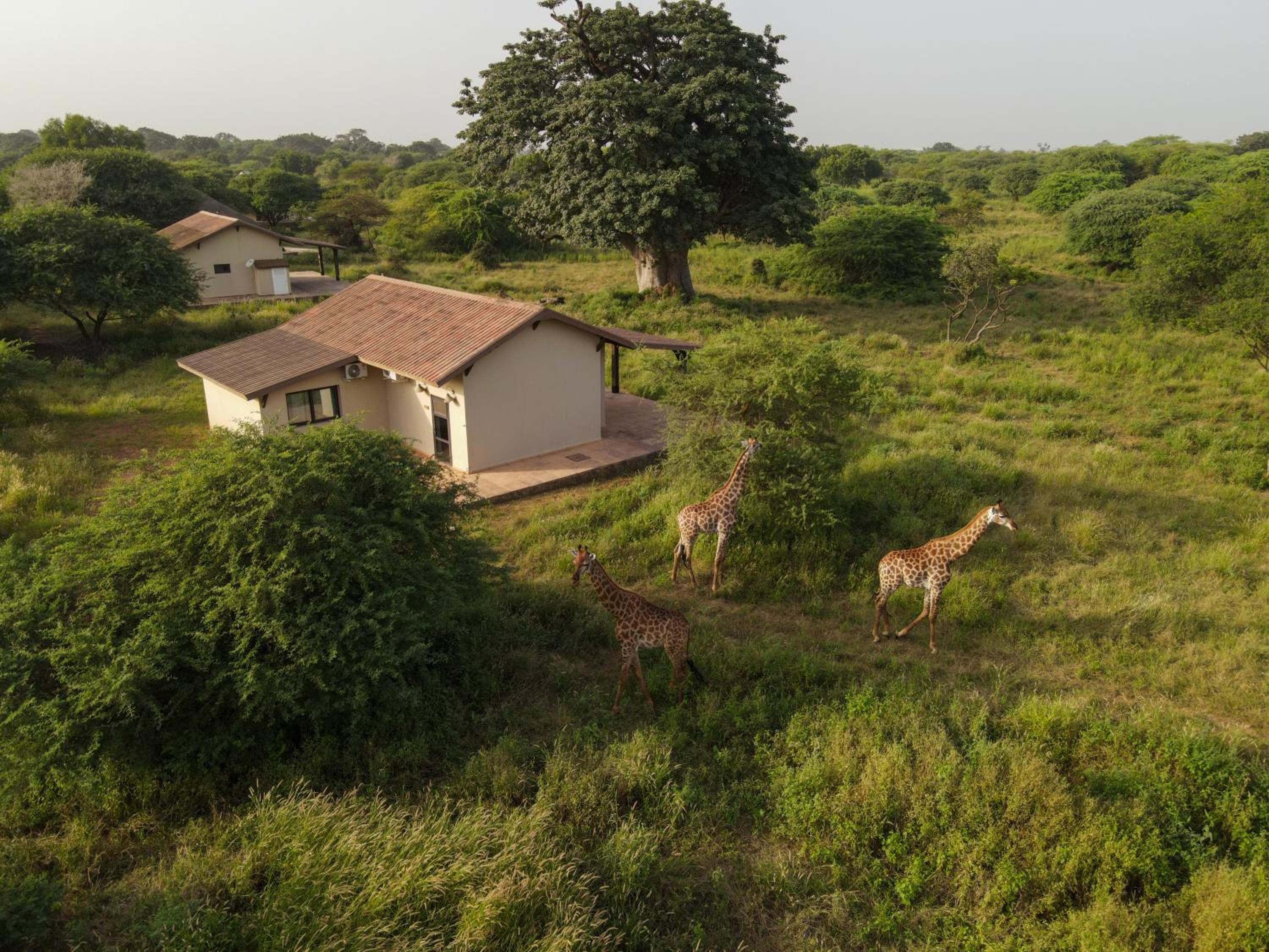 Lodge du Ranch de Bandia