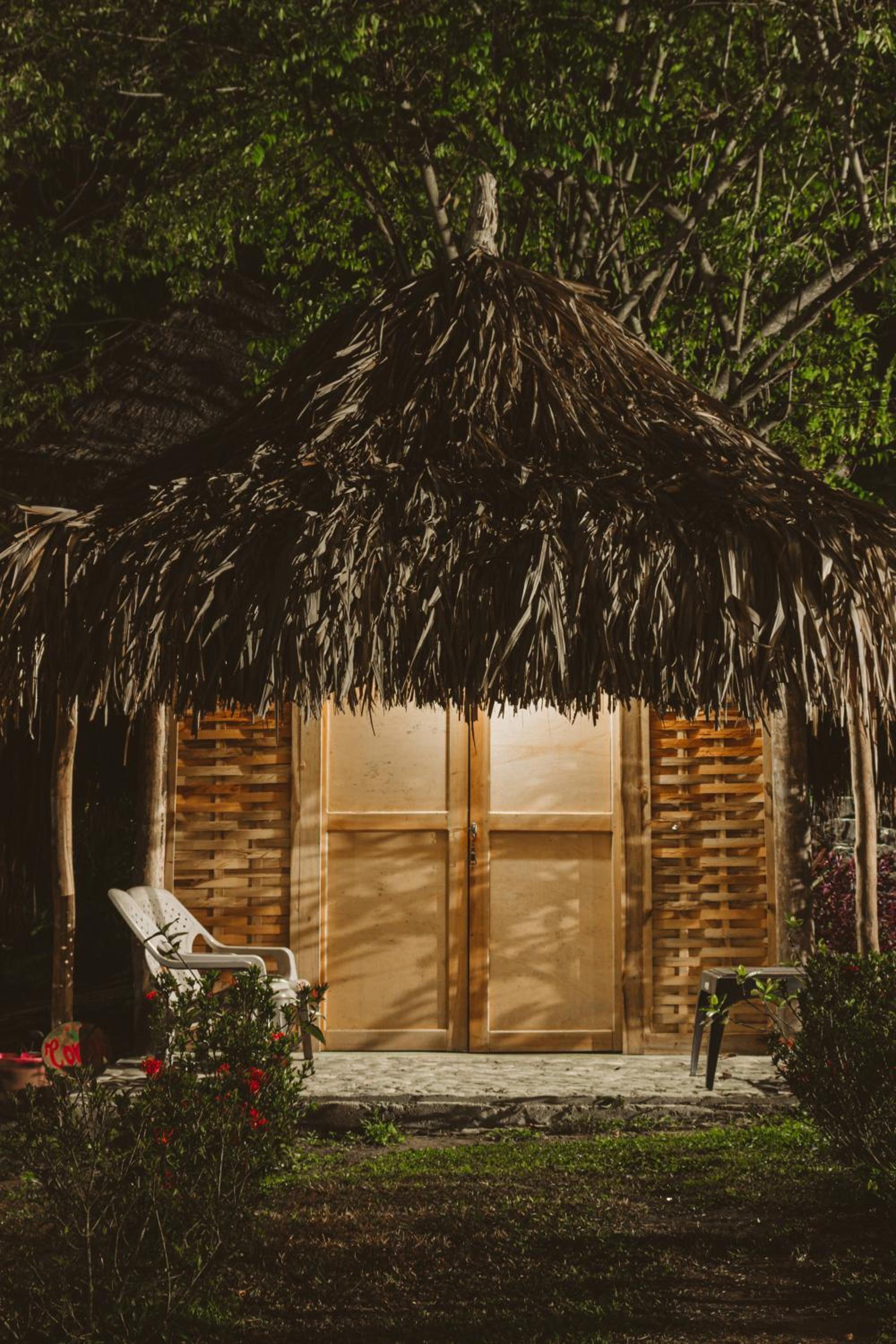 Magic Green Dentro del Parque Tayrona