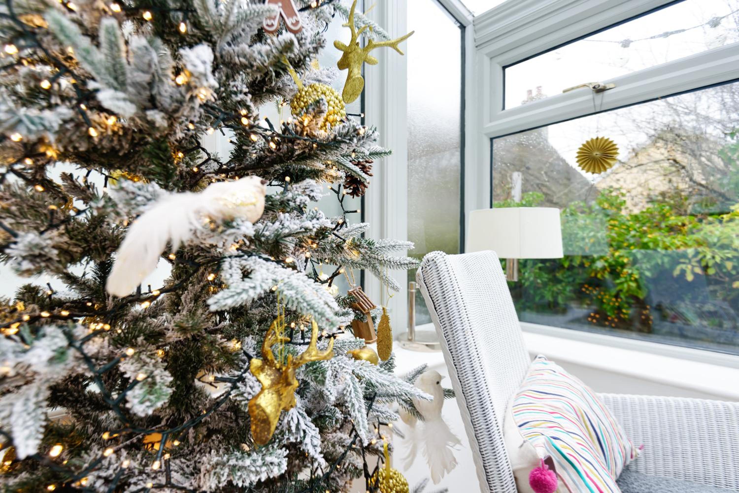 Tabbs Cottage - Close To Salcombe and Beaches view 5