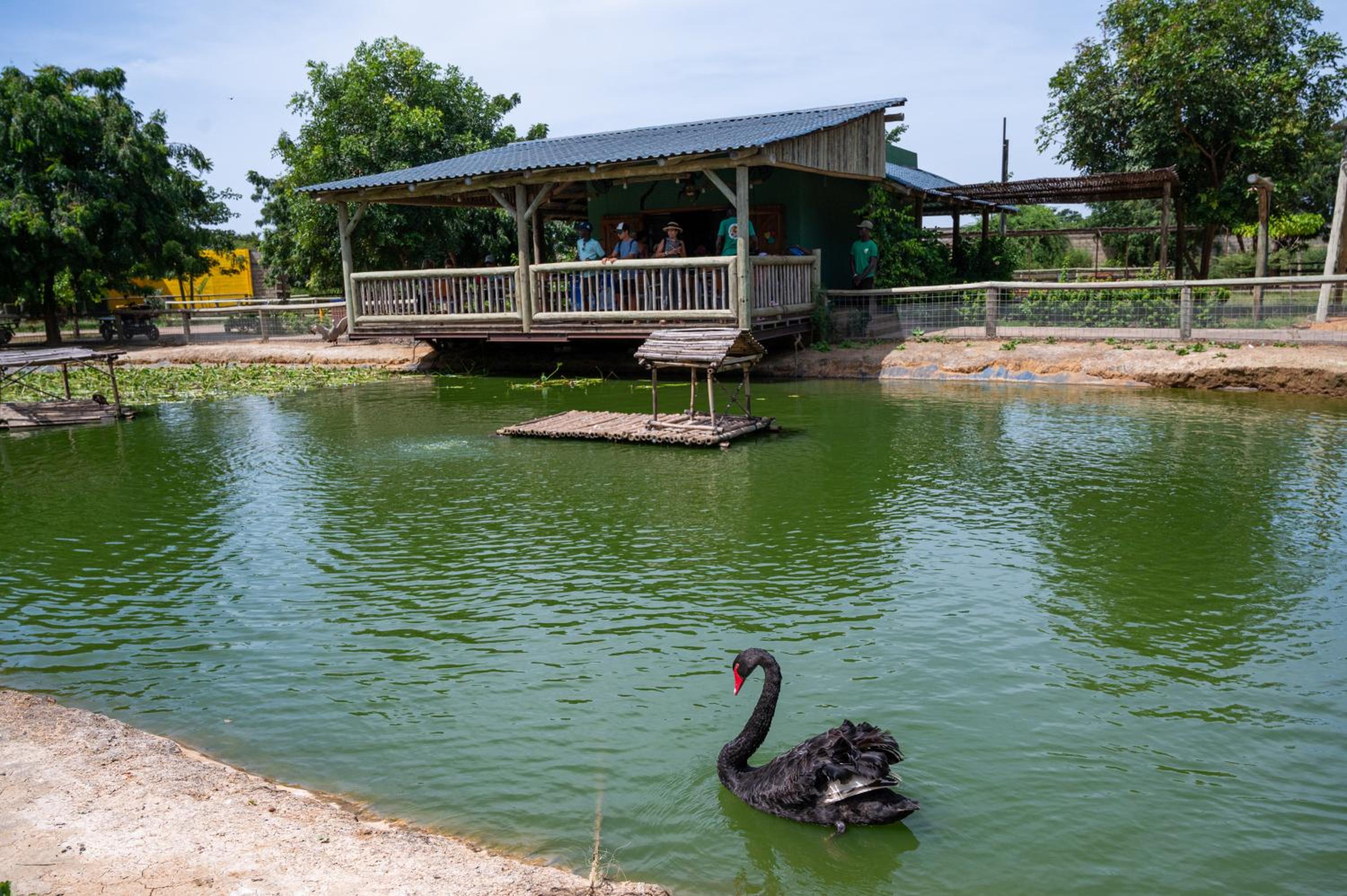 Lodge du Ranch de Bandia