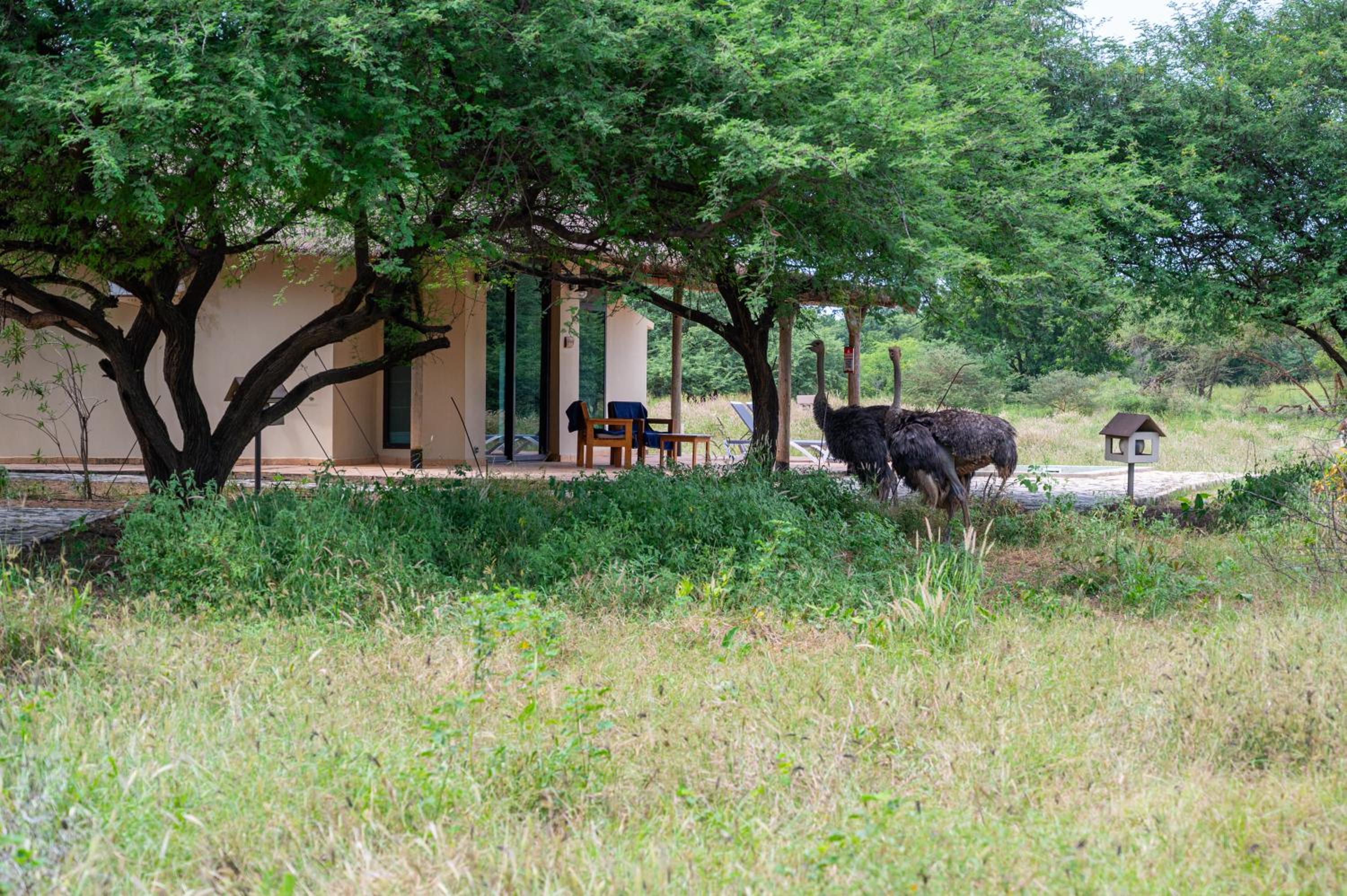 Lodge du Ranch de Bandia