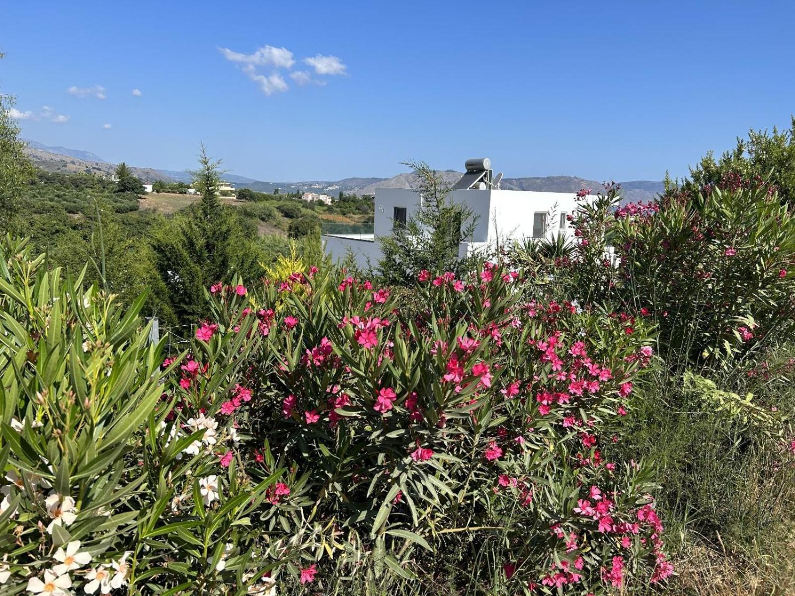 Villa Maïa