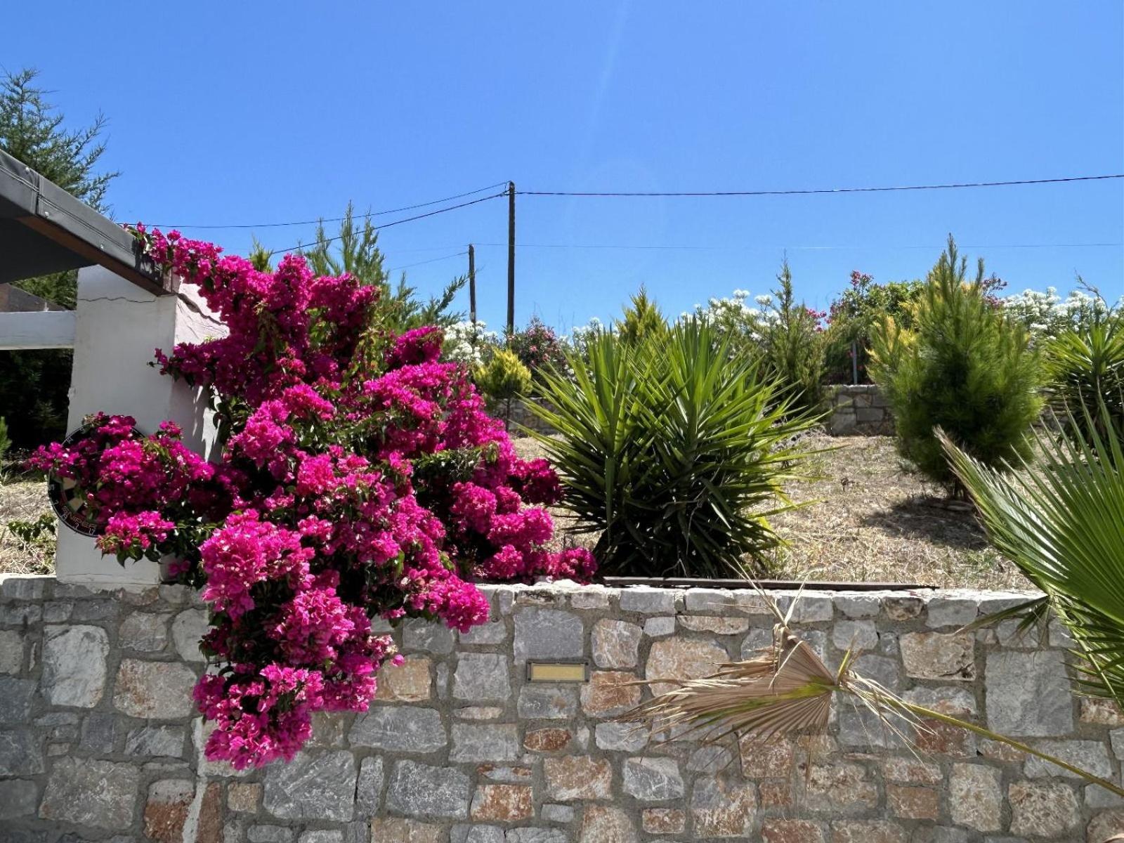 Villa Maïa