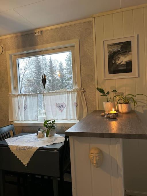 House with charm, valley with lots of northern lights, Breivikeidet view 3