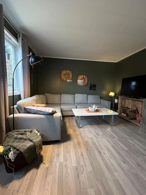 House with charm, valley with lots of northern lights, Breivikeidet view 5