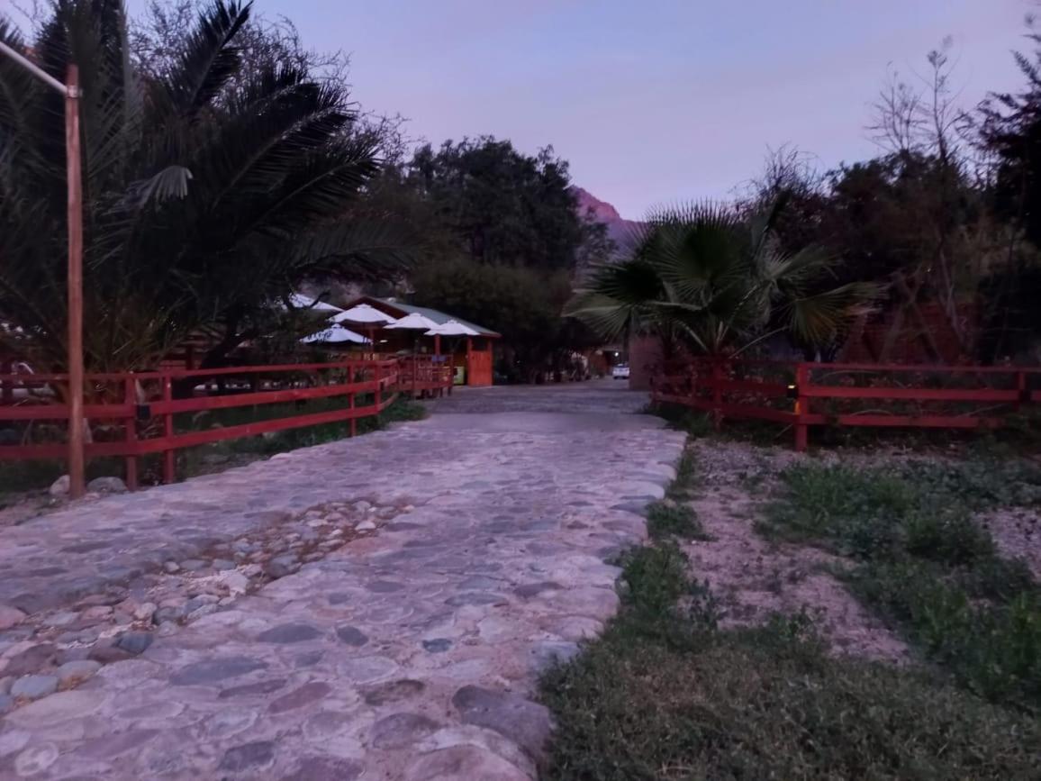 Casa Los Cactus