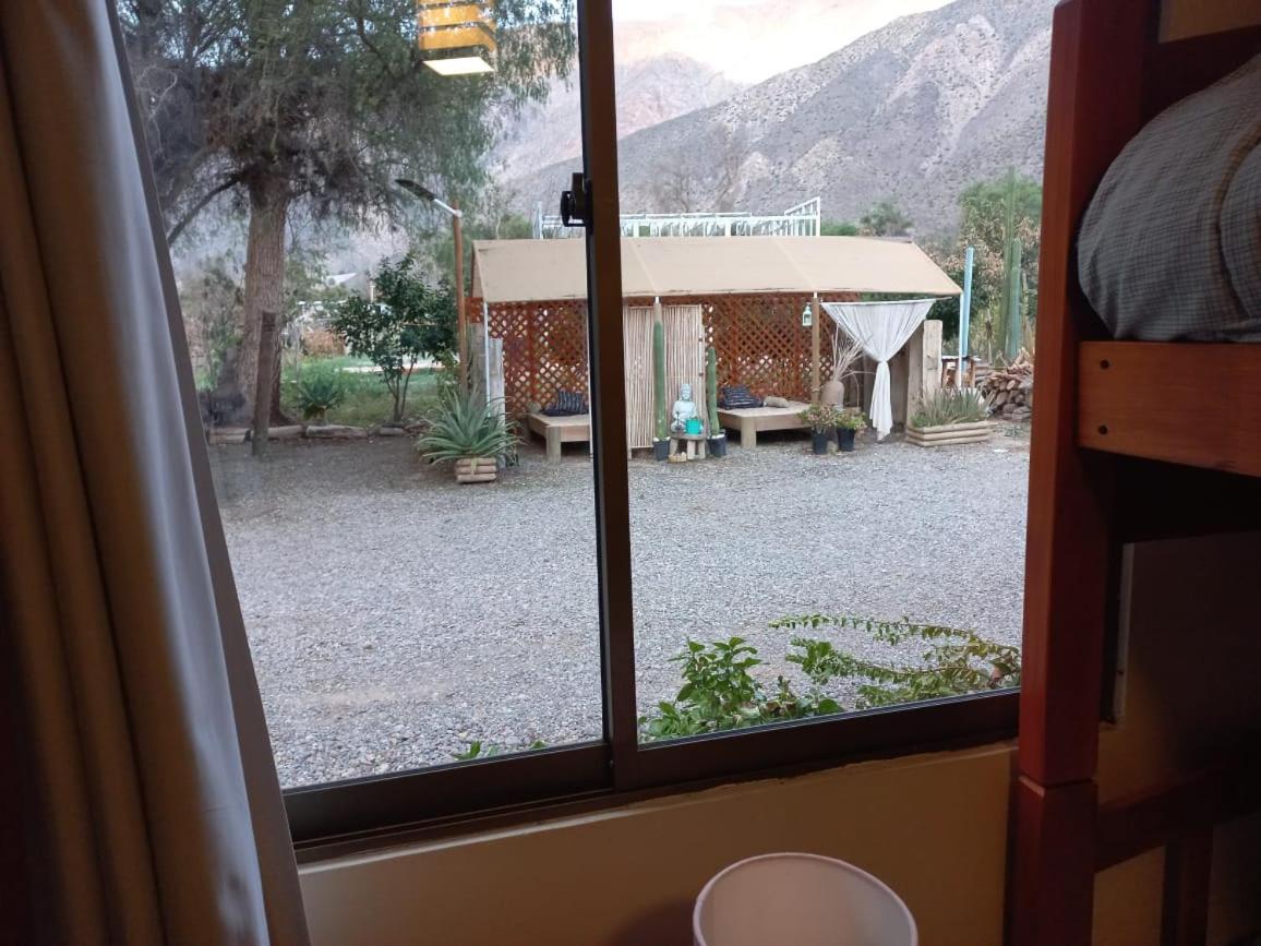 Casa Los Cactus