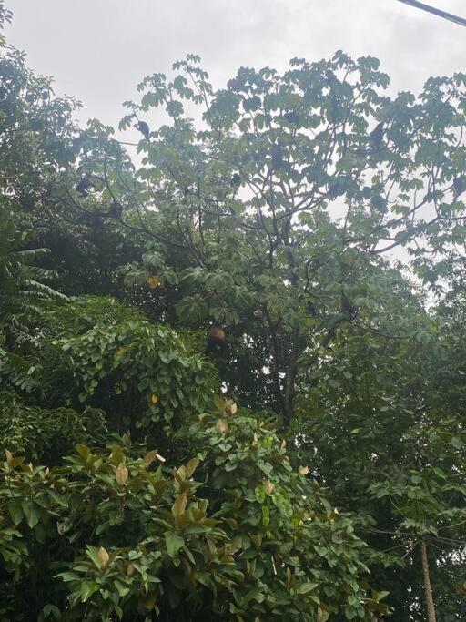 Apartamento en Manuel Antonio