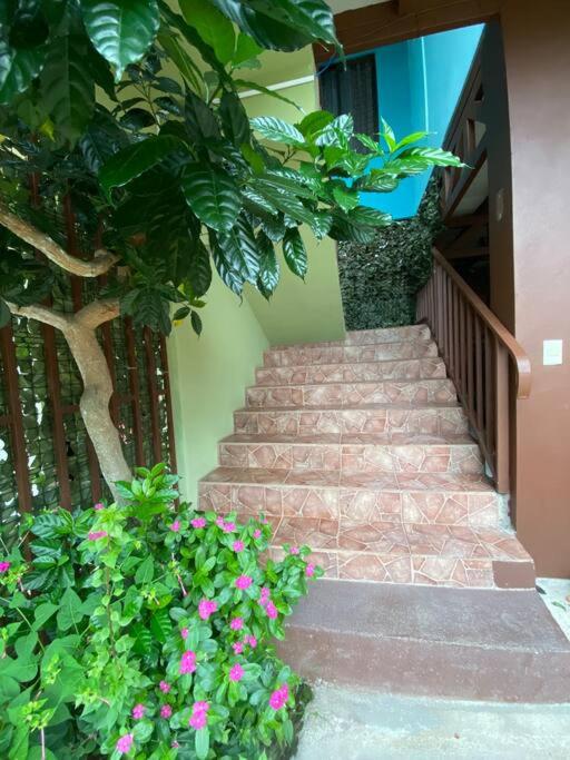 Apartamento en Manuel Antonio