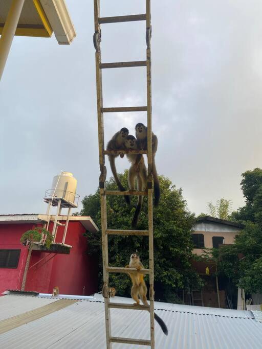 Apartamento en Manuel Antonio
