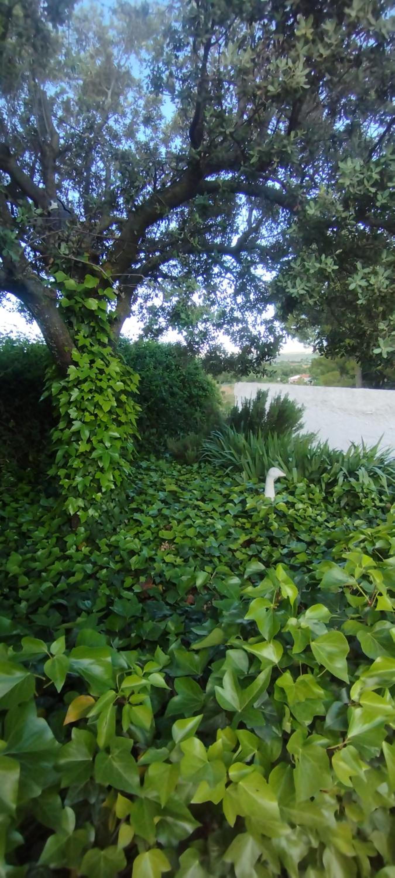 Casa Rural MONTE VERDE