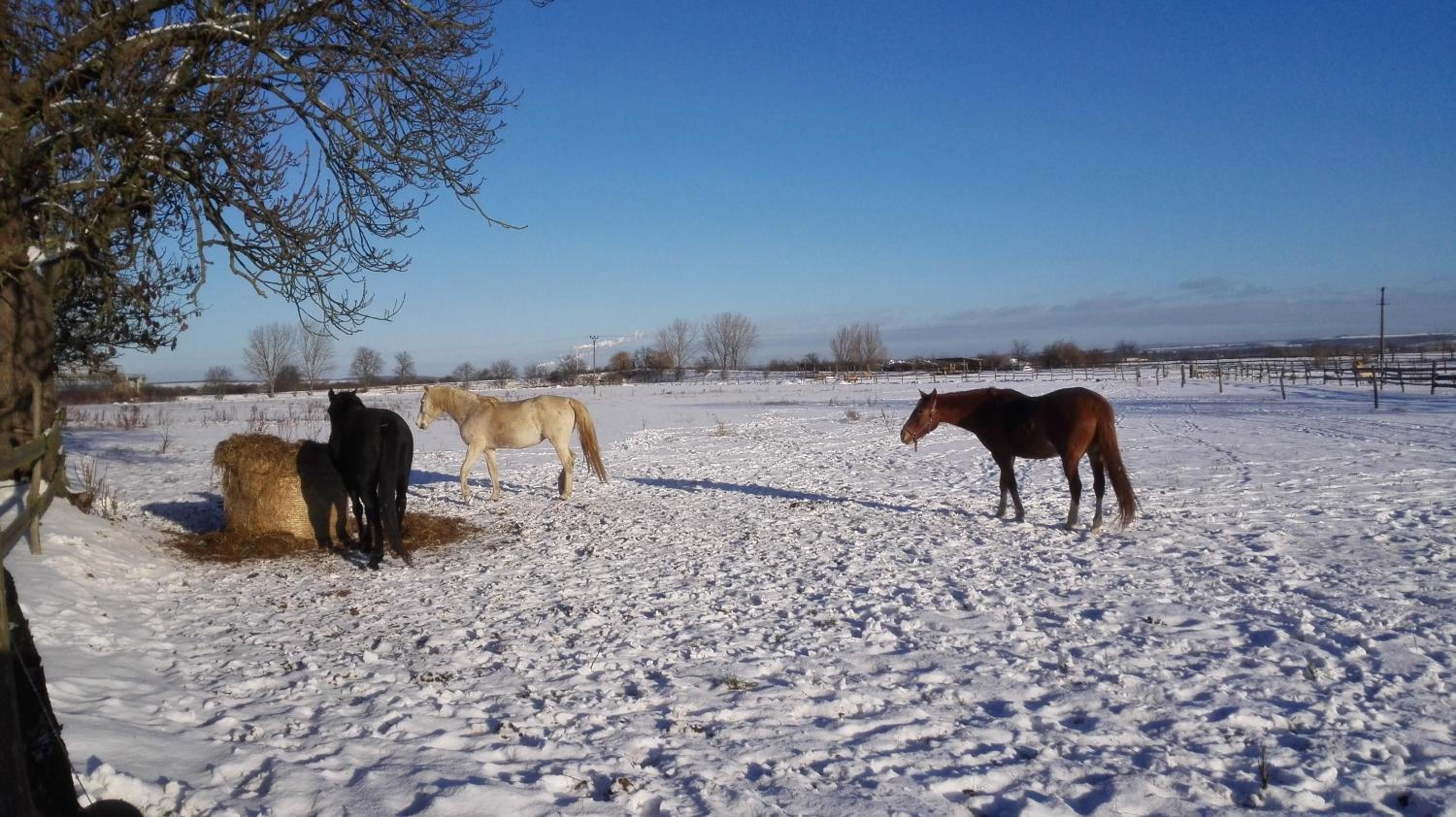 ZOOPARK Zelčín