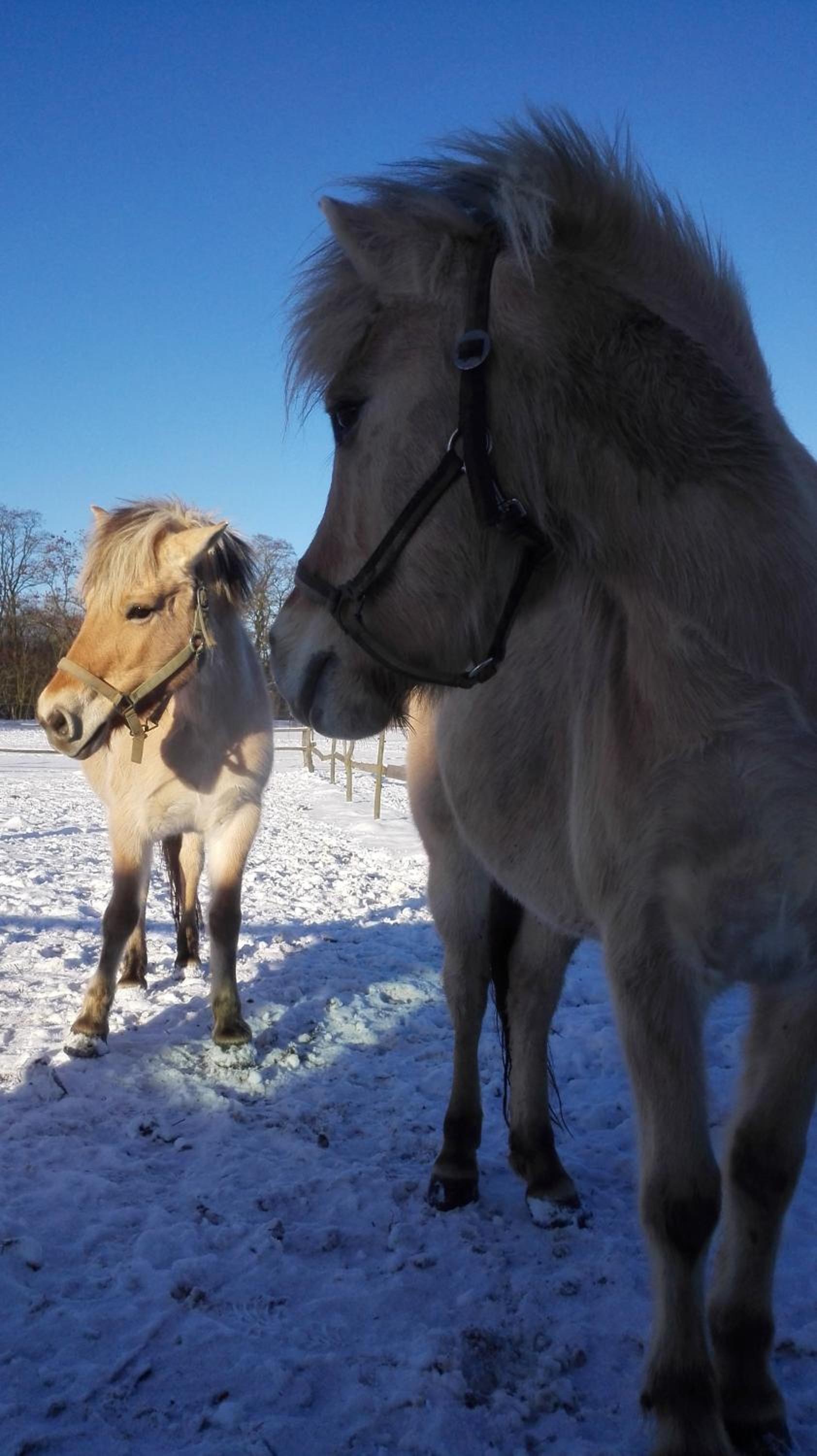 ZOOPARK Zelčín
