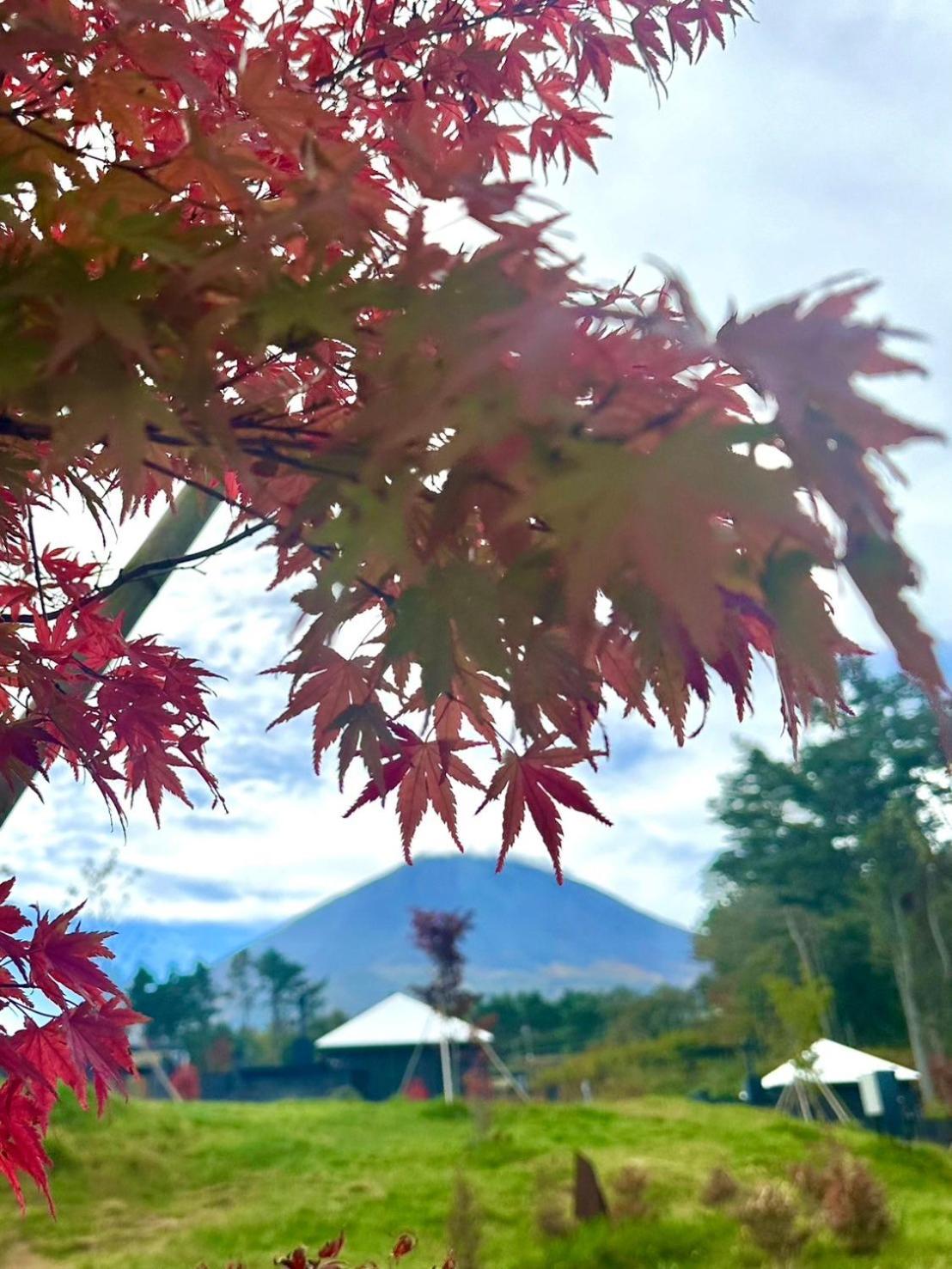The SENSE FUJI, Narusawa - 19