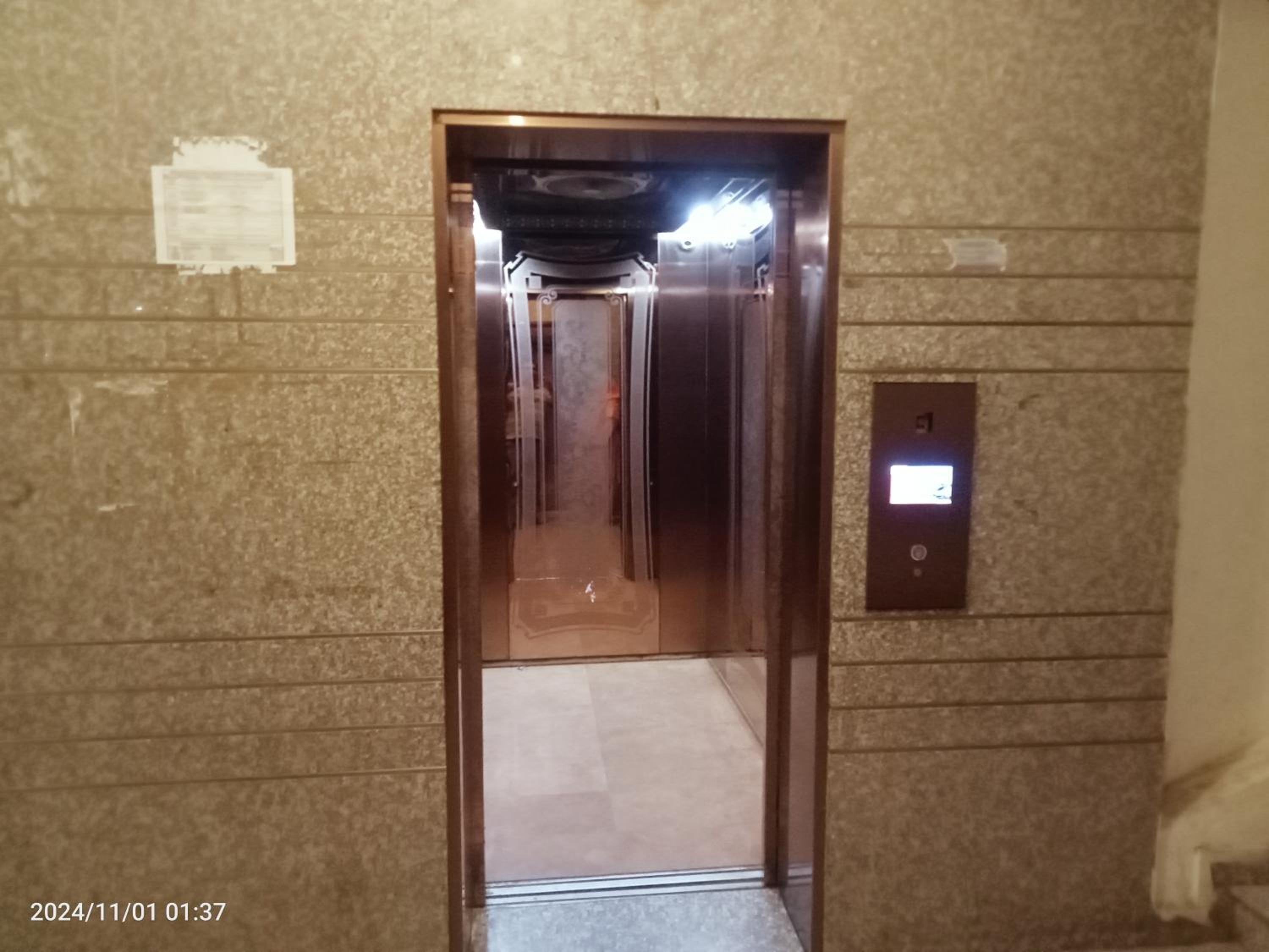 Luxury Apartment