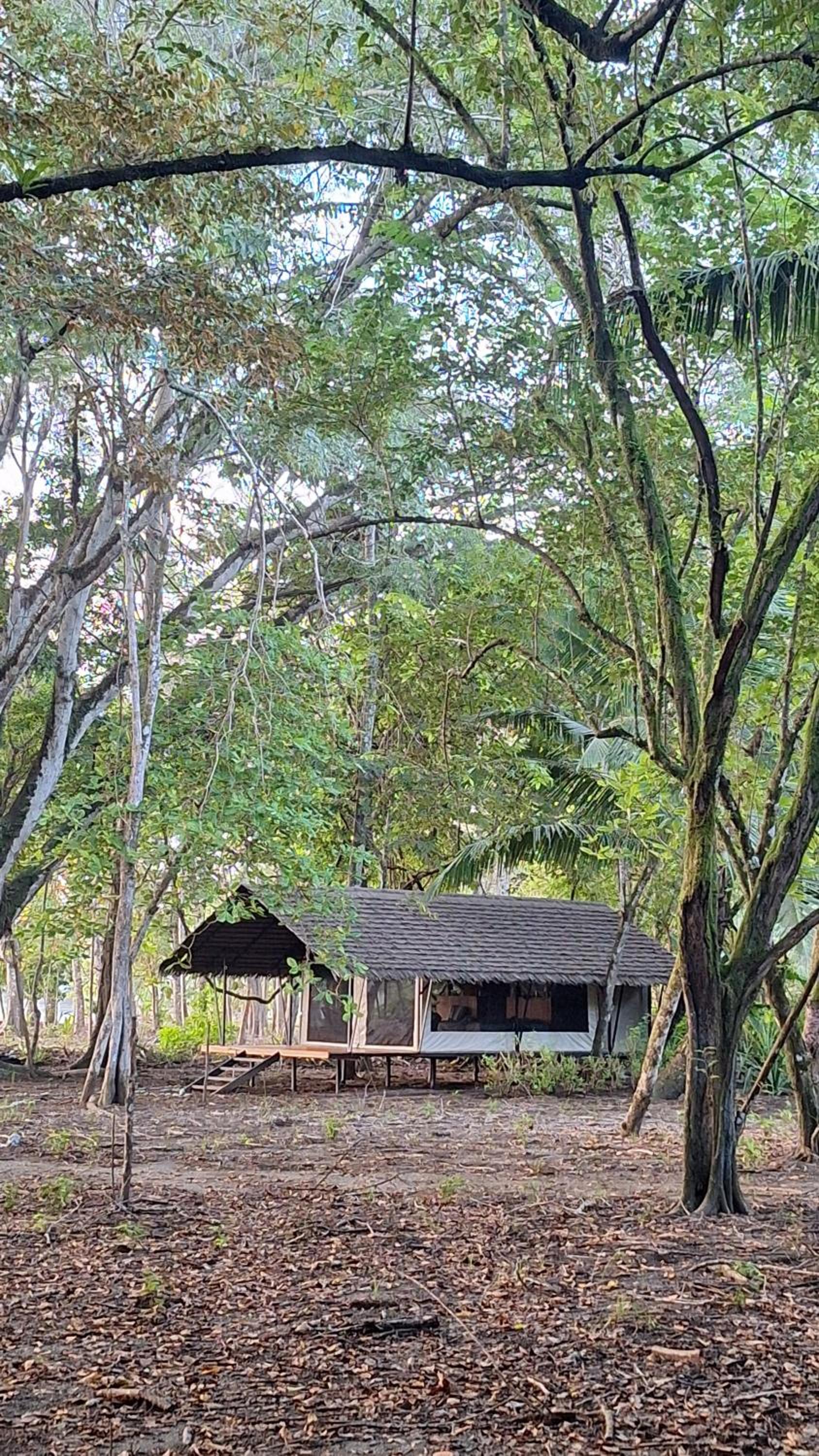Hotel Four Monkeys Eco Lodge - Jungle & Beach - Image 1