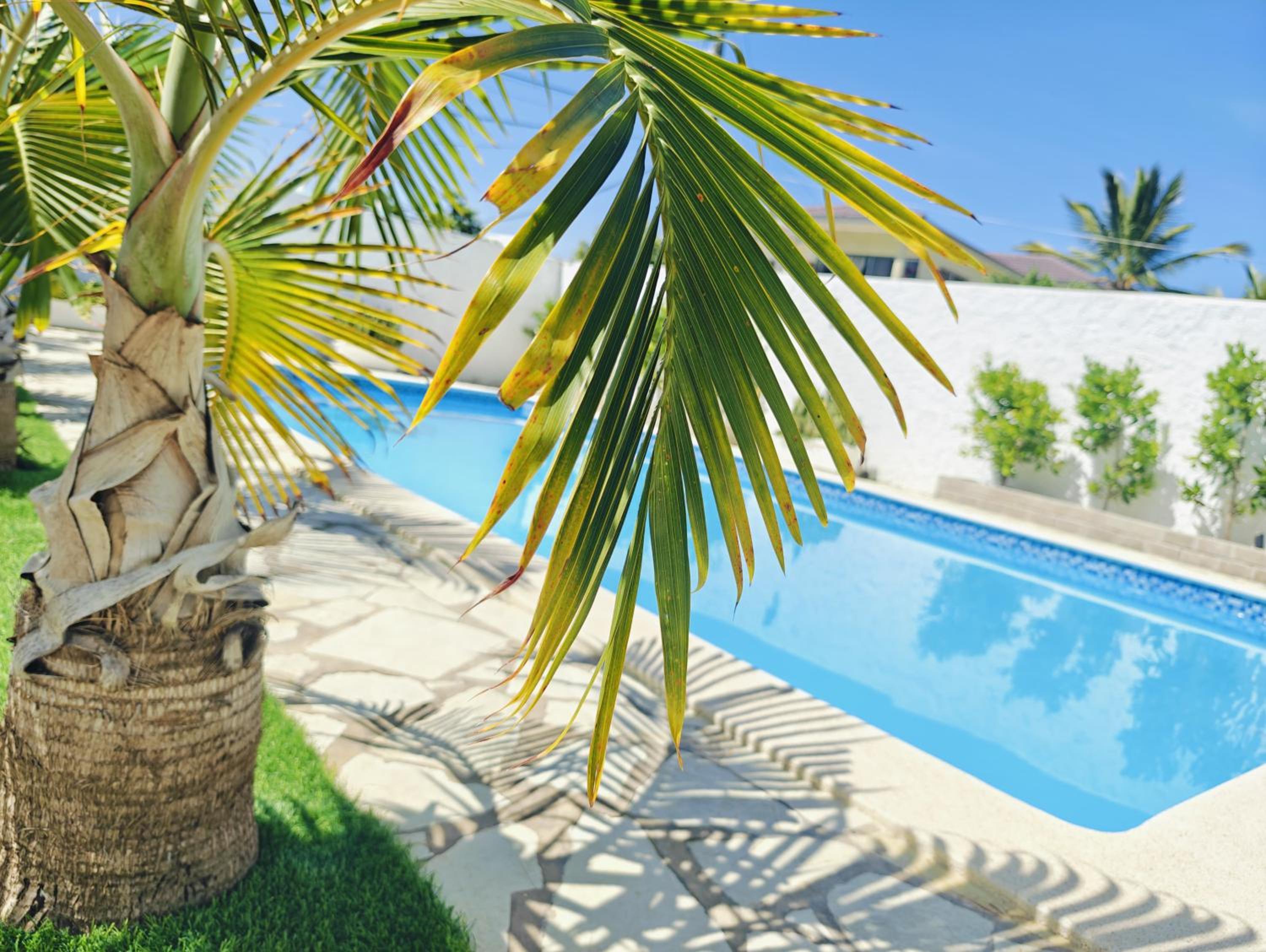 Sosua Sweet Vacations