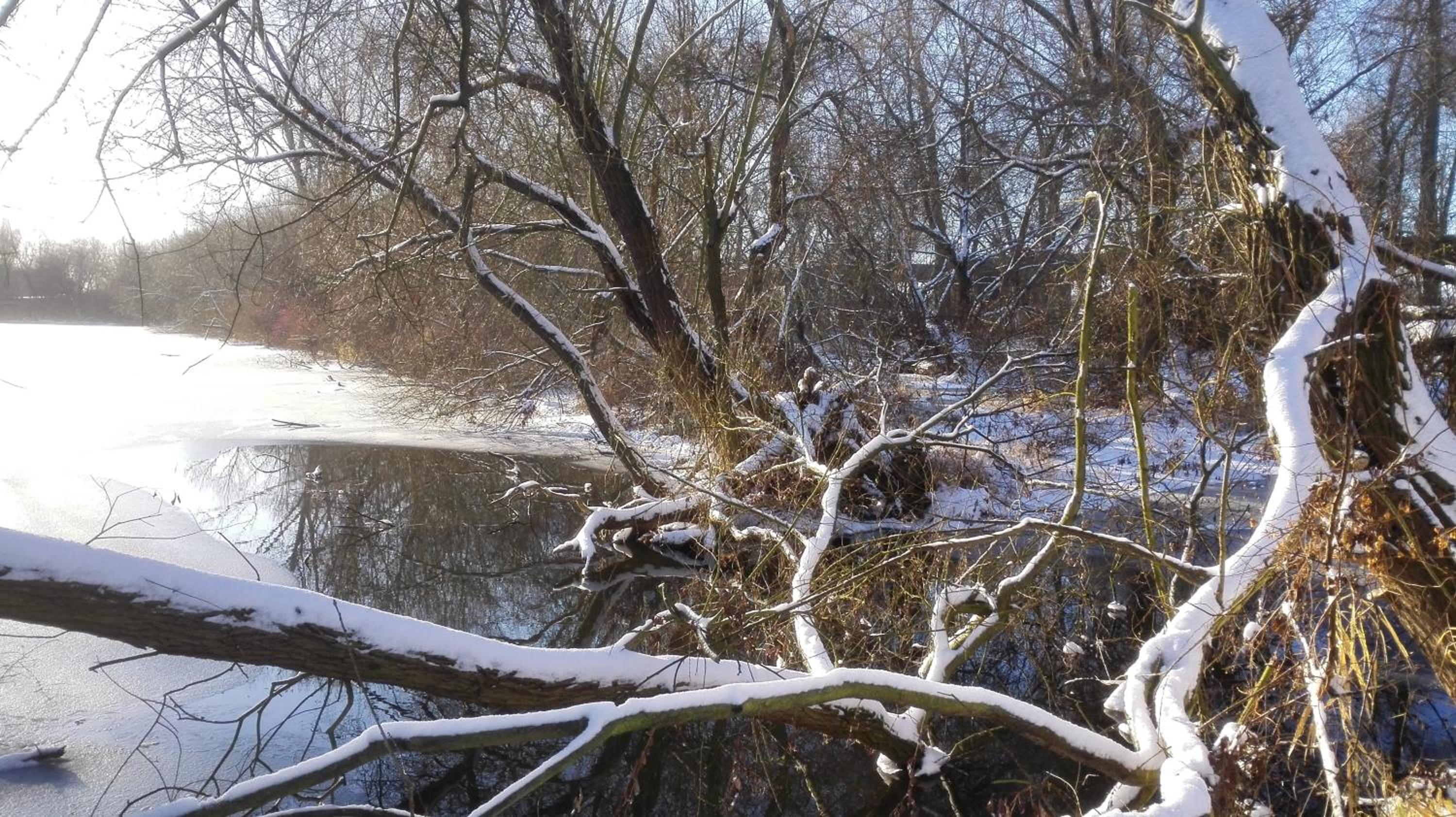 ZOOPARK Zelčín