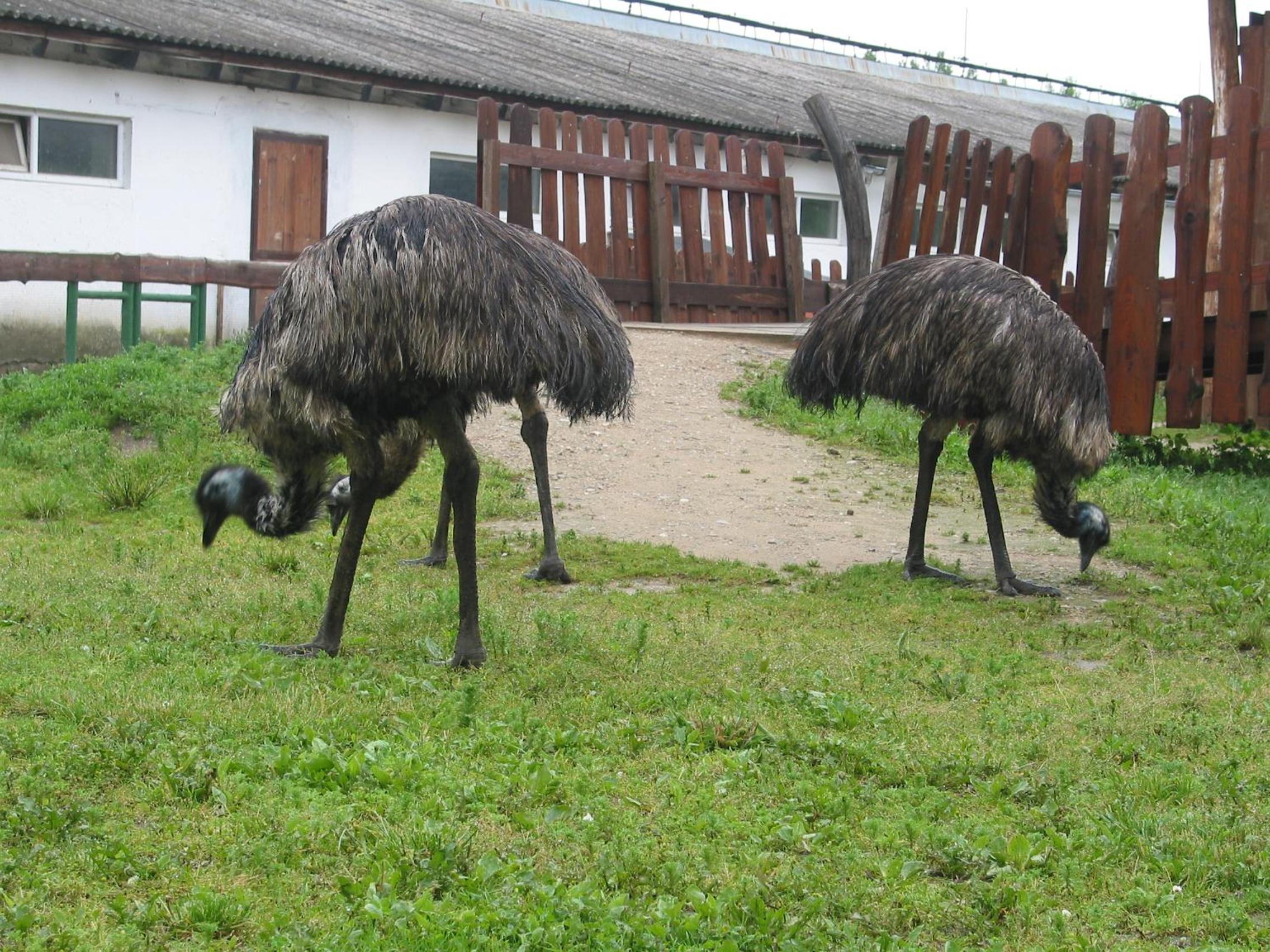 ZOOPARK Zelčín