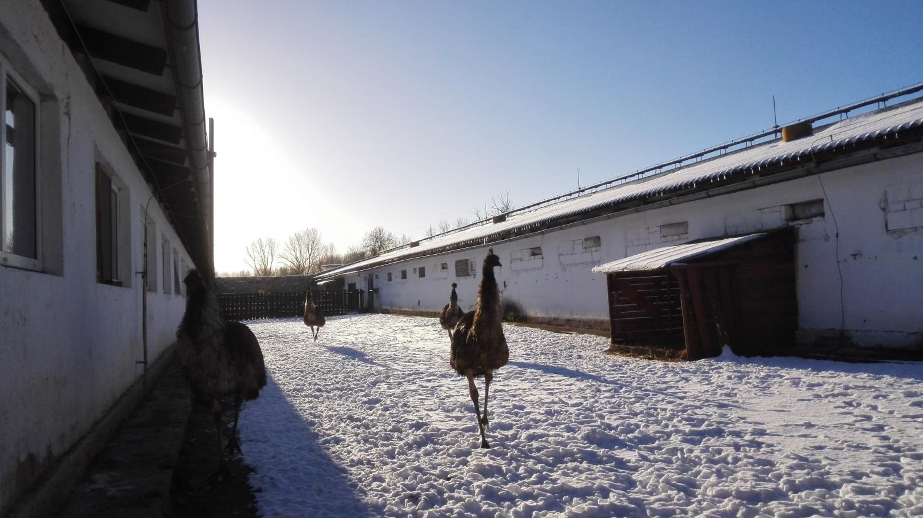 ZOOPARK Zelčín