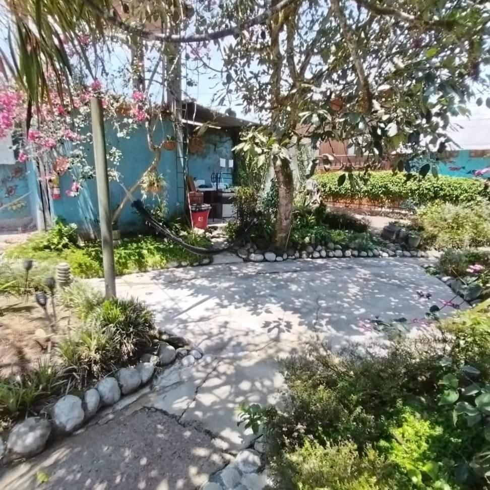El Bosque de Mindo Hostal view 4