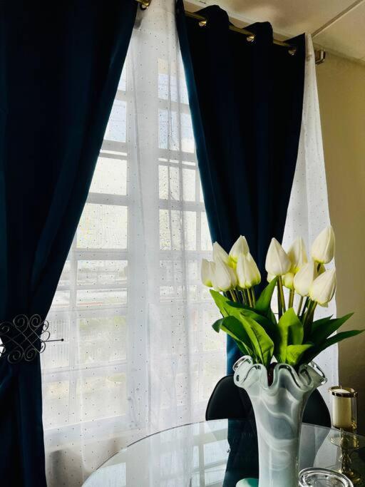 BlueBreeze - Cozy Apartment Near Airport view 3