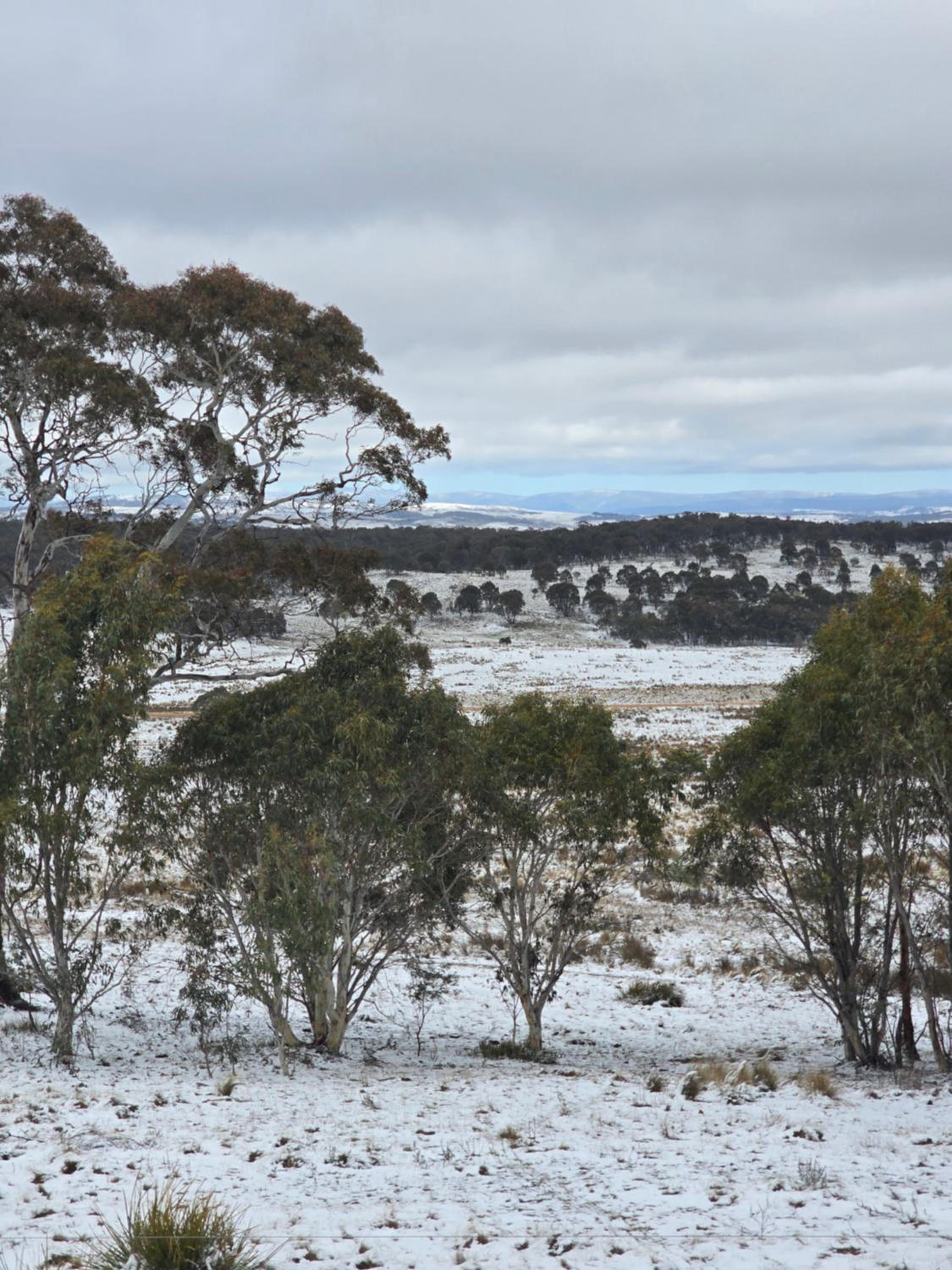 Serenus hill