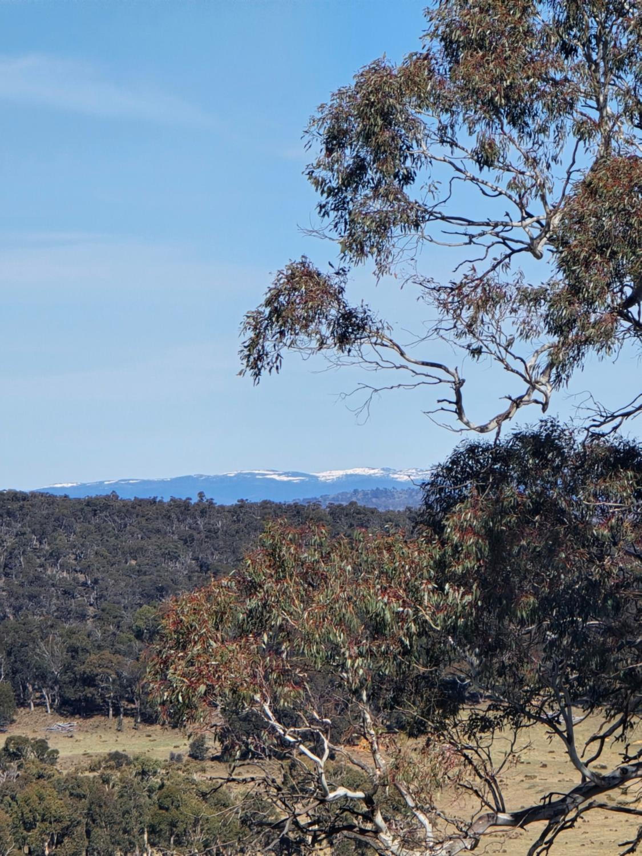 Serenus hill