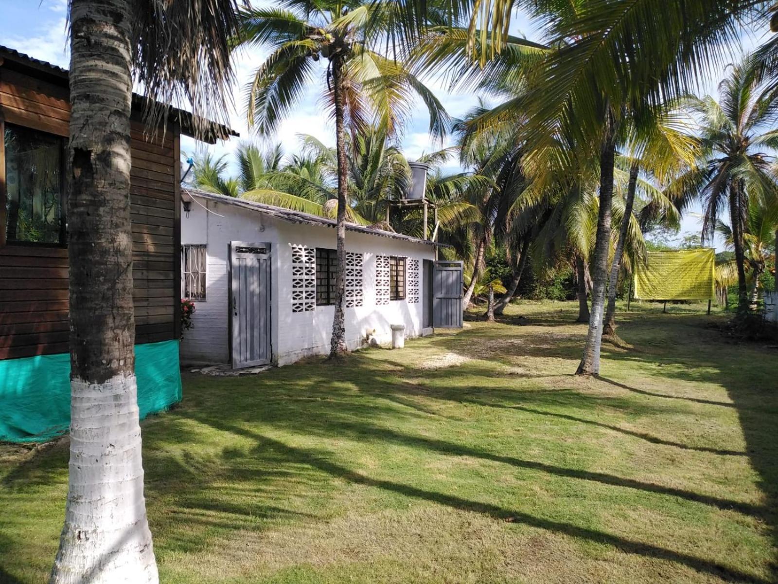 Casa de las Dos Palmas, Coveñas