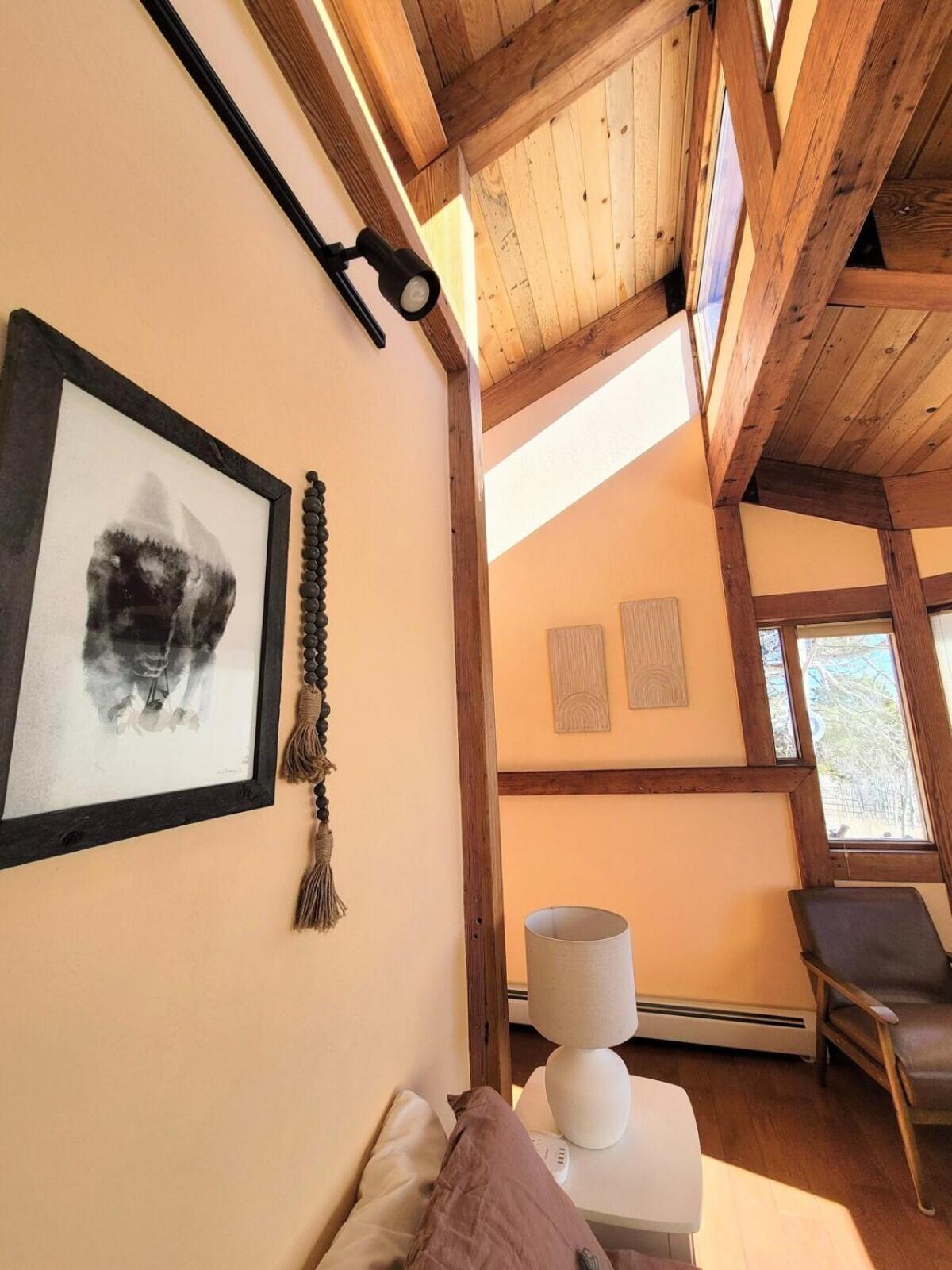Fairplay Coyote Cabin