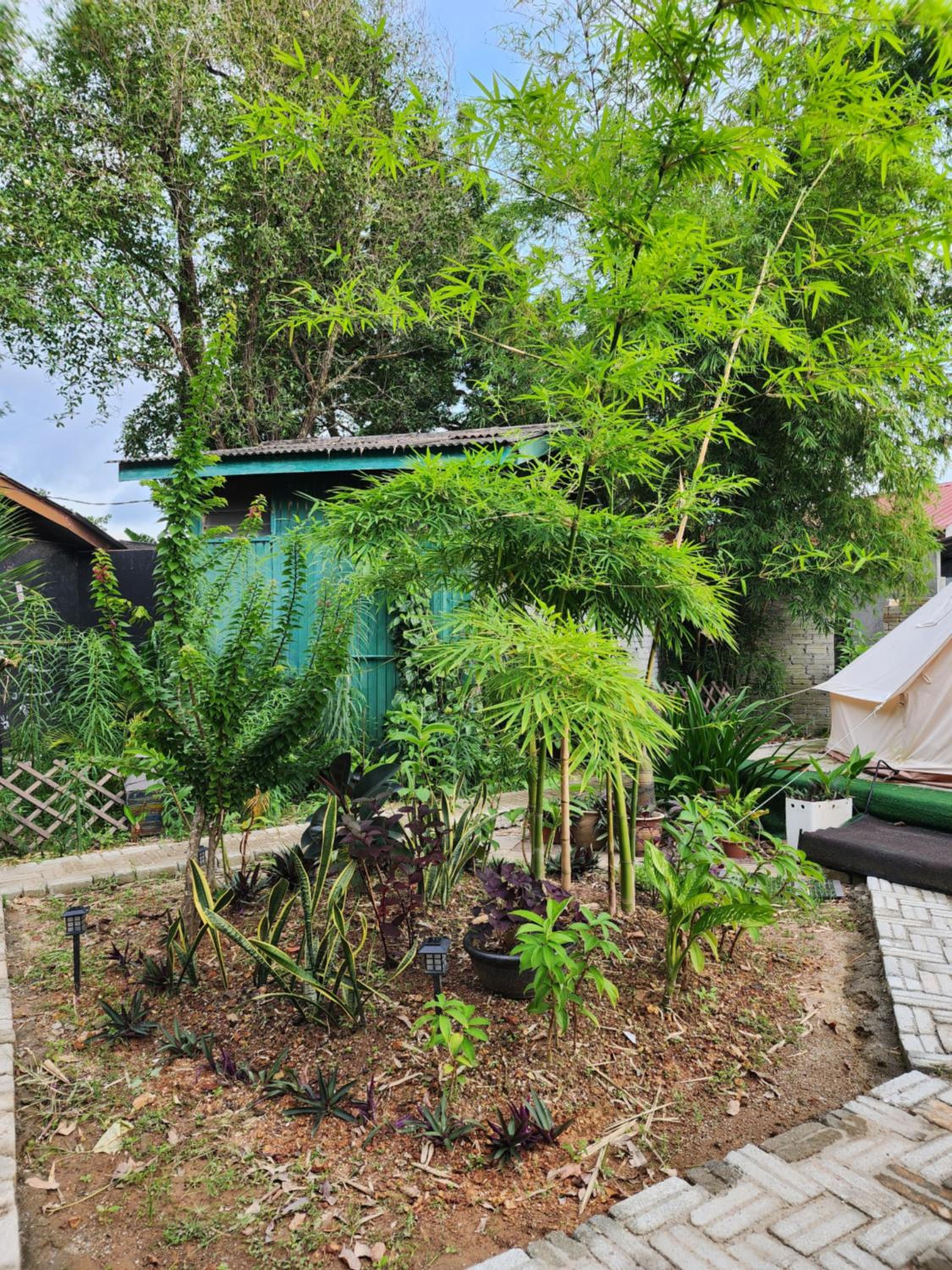 Blissfull Bamboo Garden Cottage photo 6