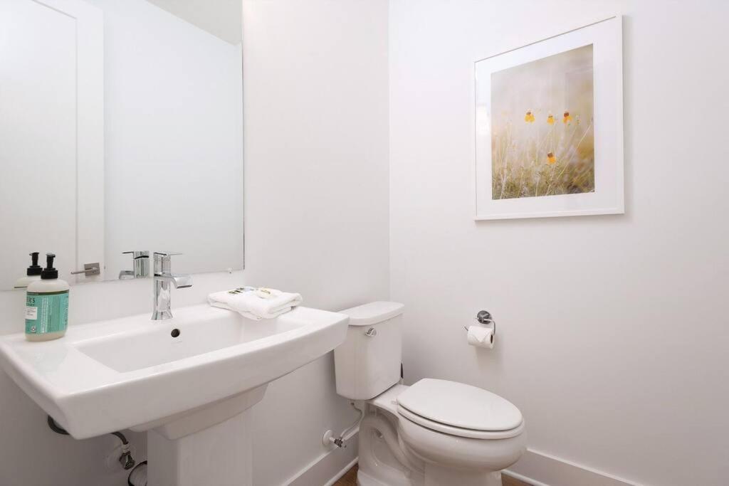 Serene Retreat in Hermitage - Property Image 34