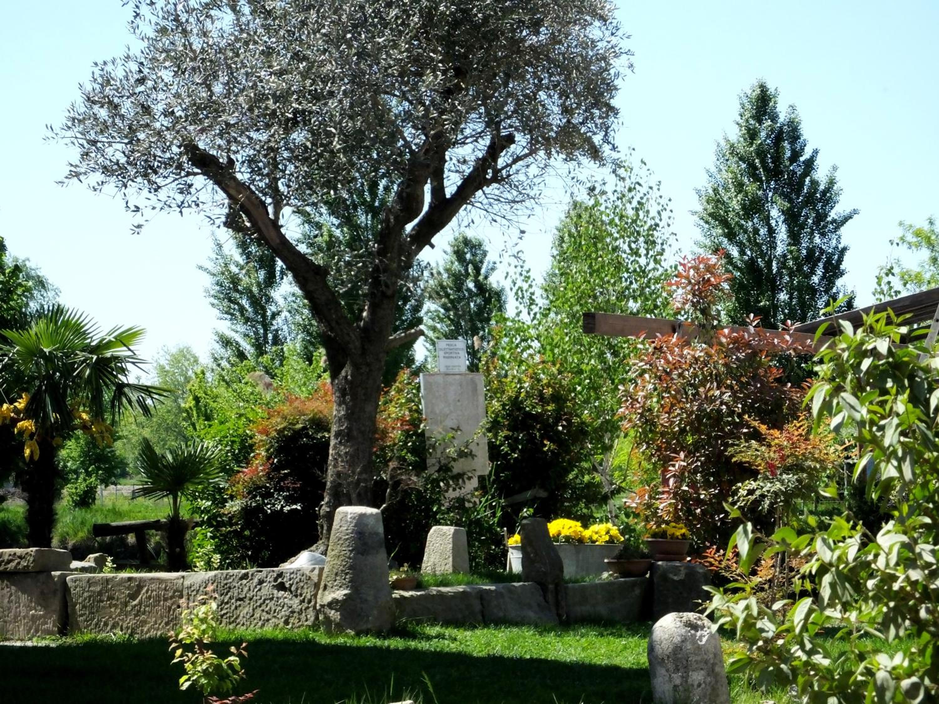 Agriturismo Adriano Pedretti
