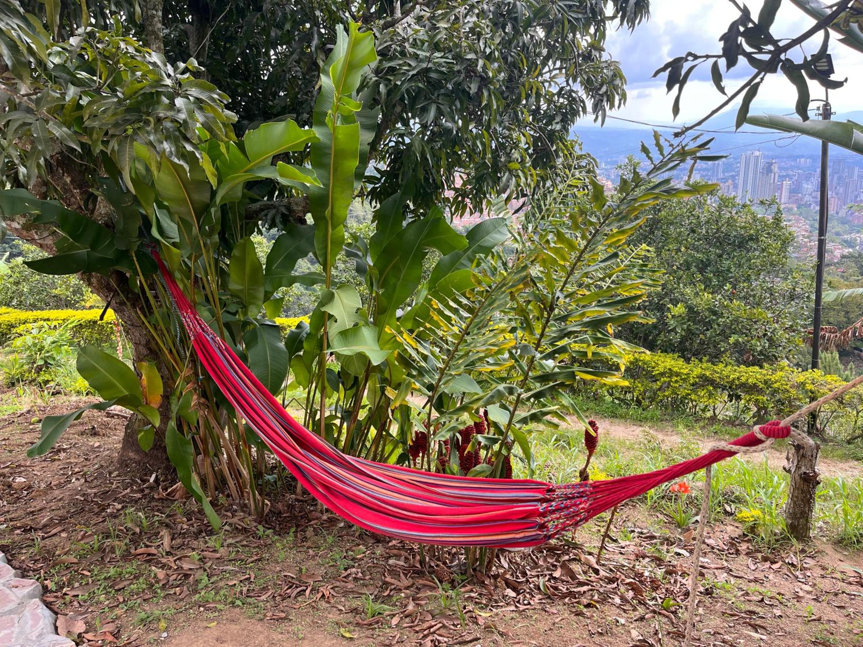 Aloha Glamping