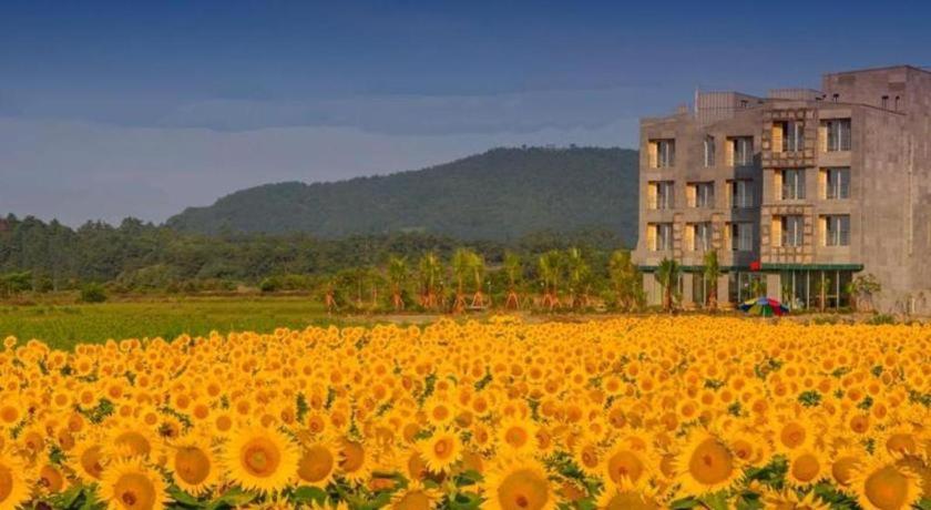 Hotel MCC