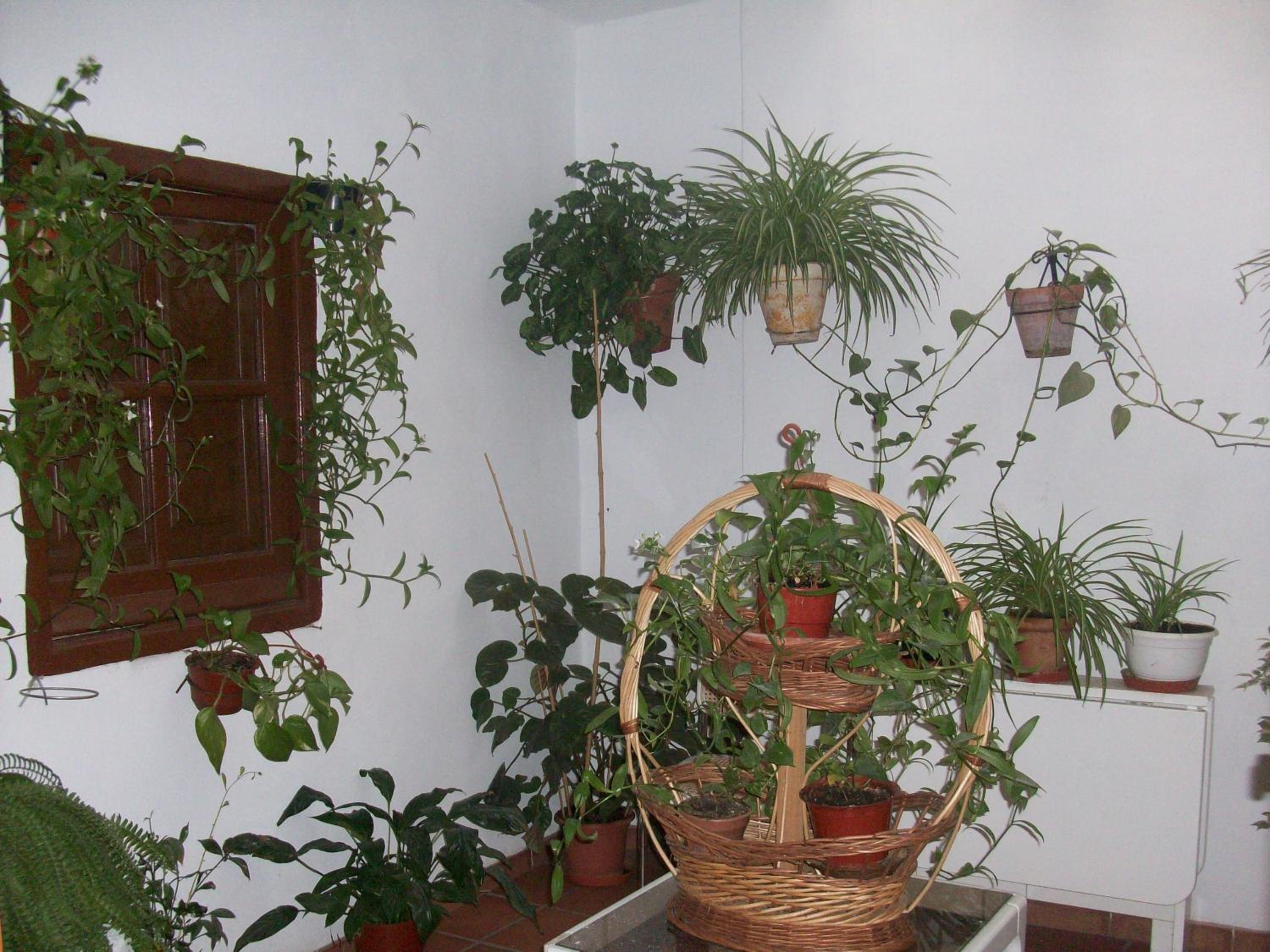 Photo 54