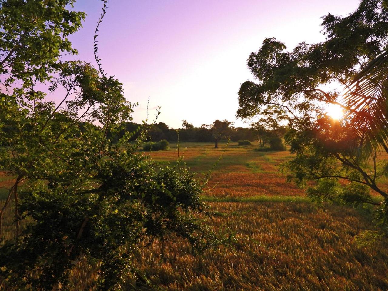 other